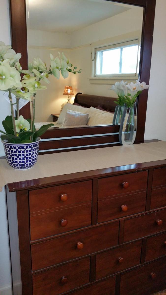 Lovely Smart Craftsman King HDTV WIFI AC Yard