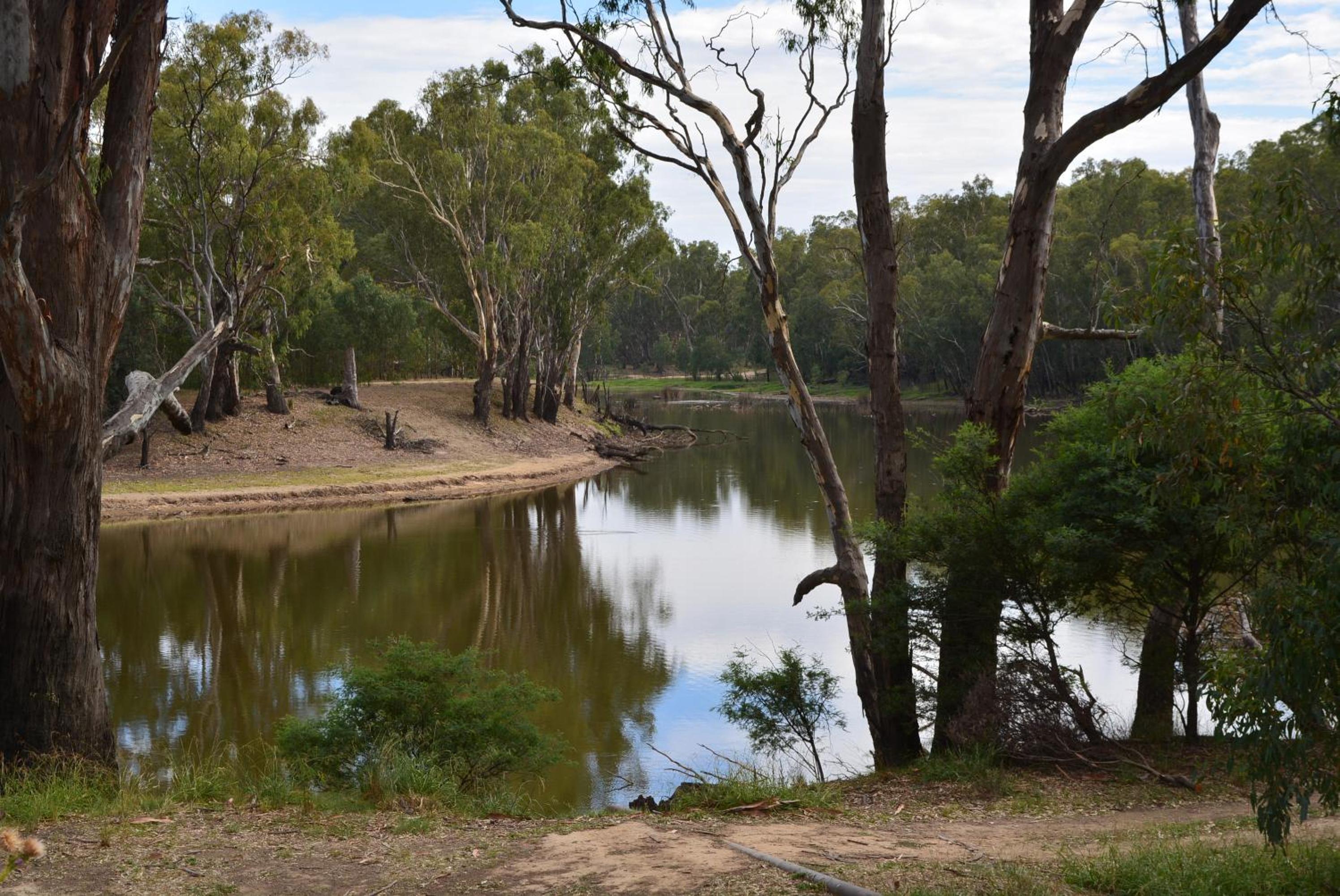 Yarrawonga Riverlands Tourist Park