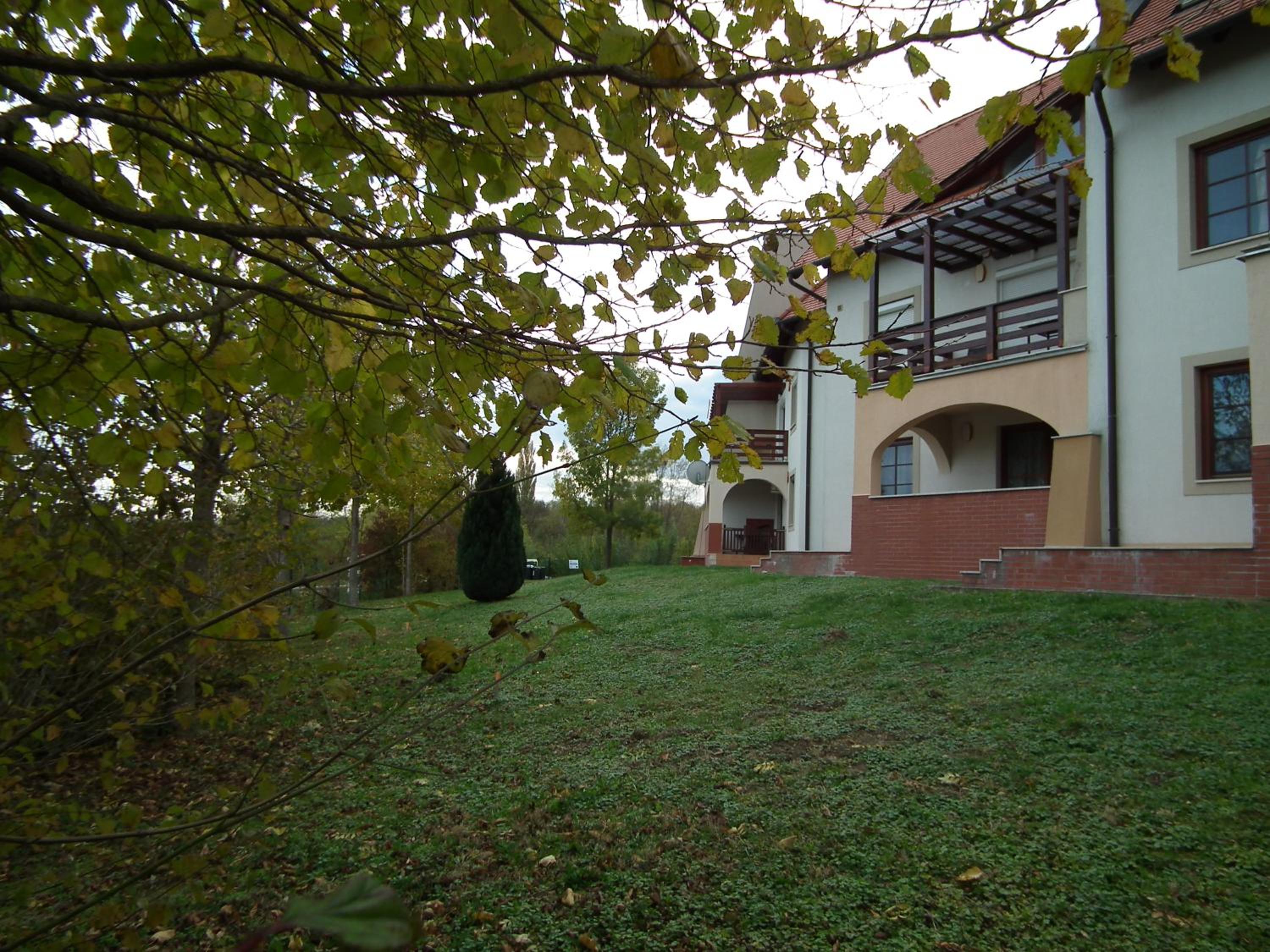 Photo 44