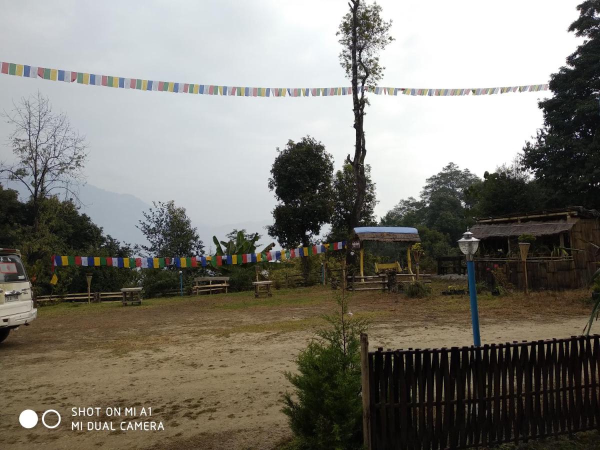 Photo 49