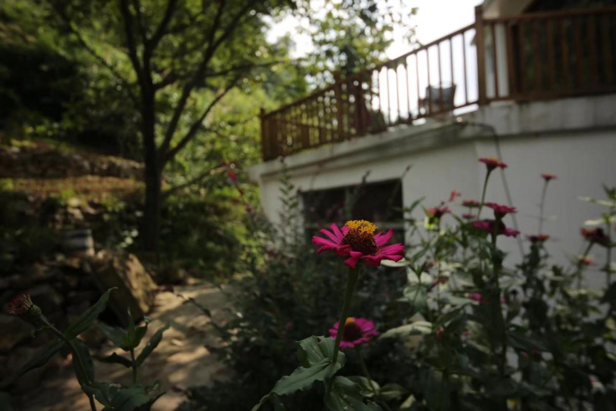 Zhangjiajie One city one inn
