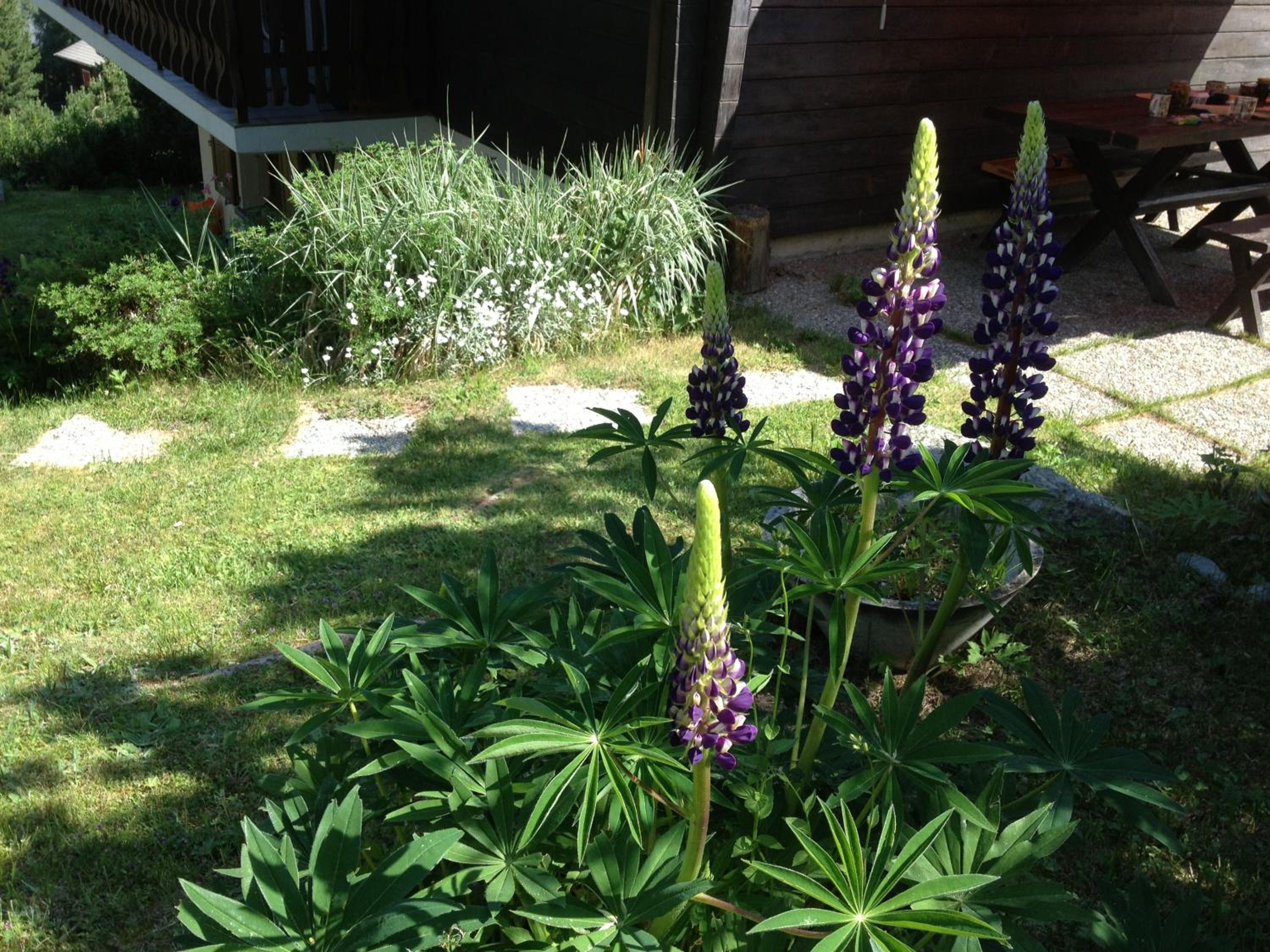 Photo 23