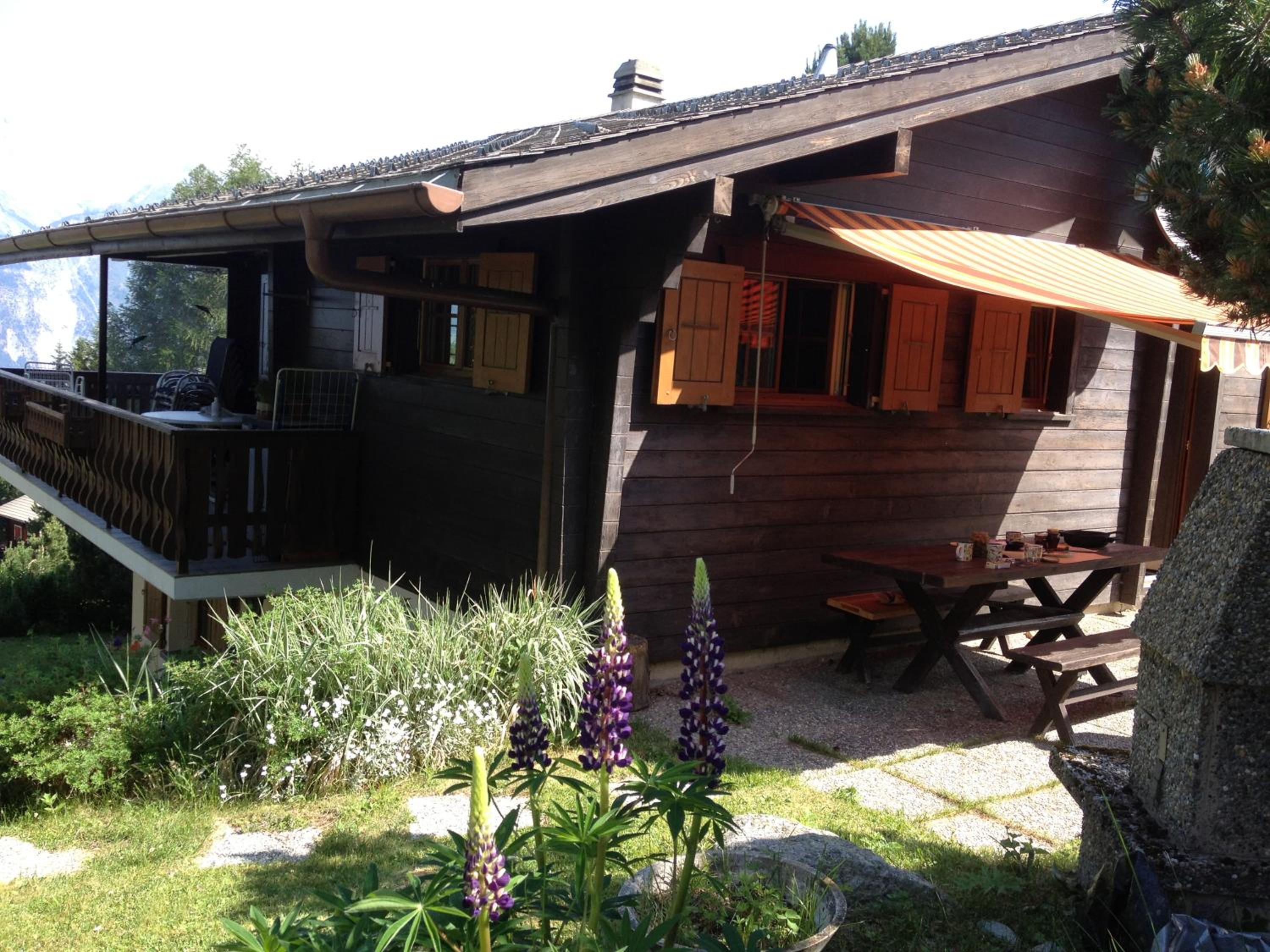 Photo 8