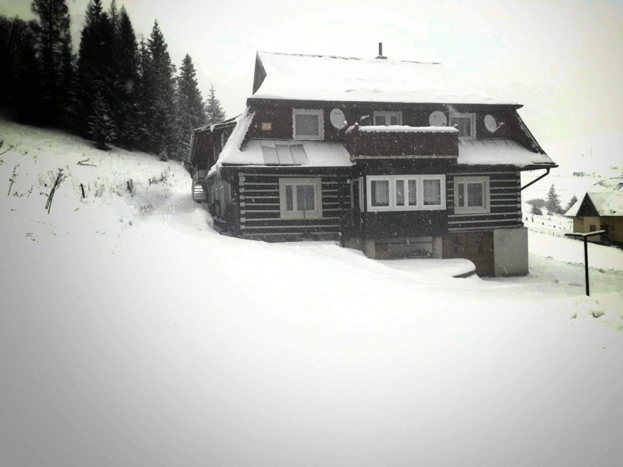 Photo 29