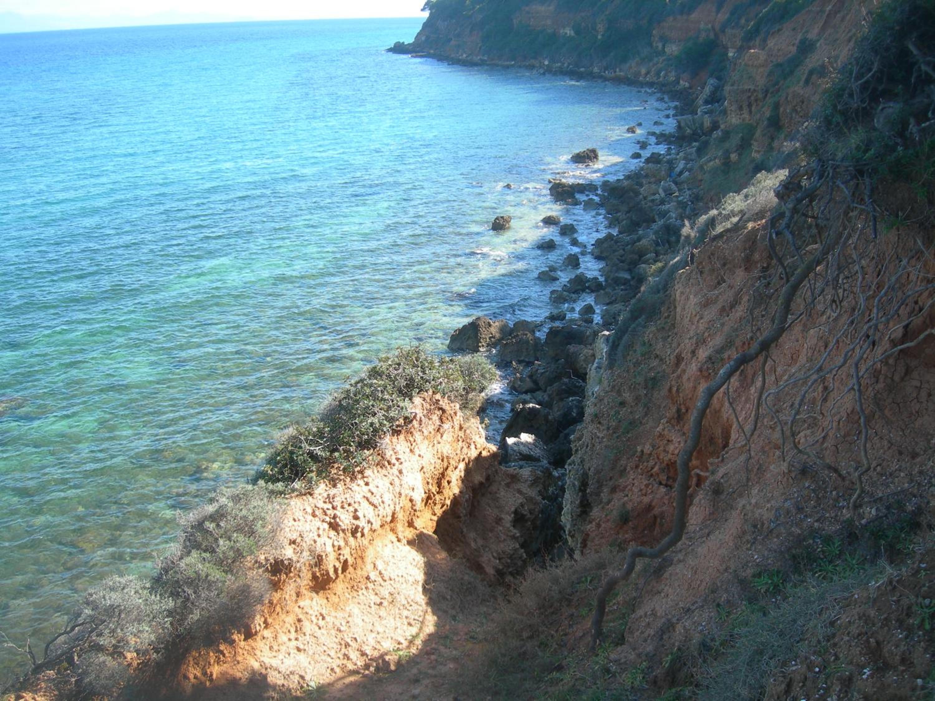 Photo 20