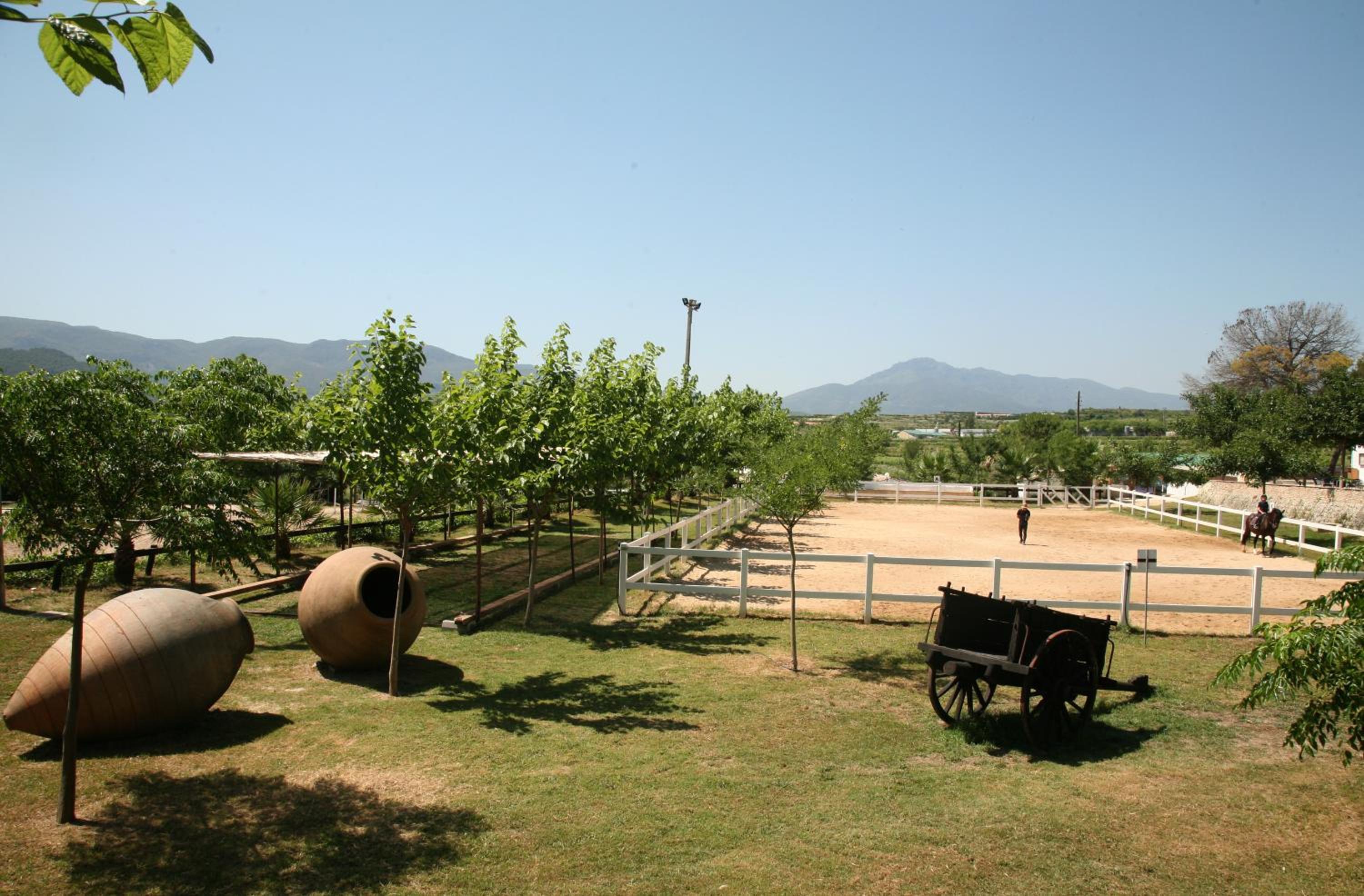 El Mas de Xetà view 5