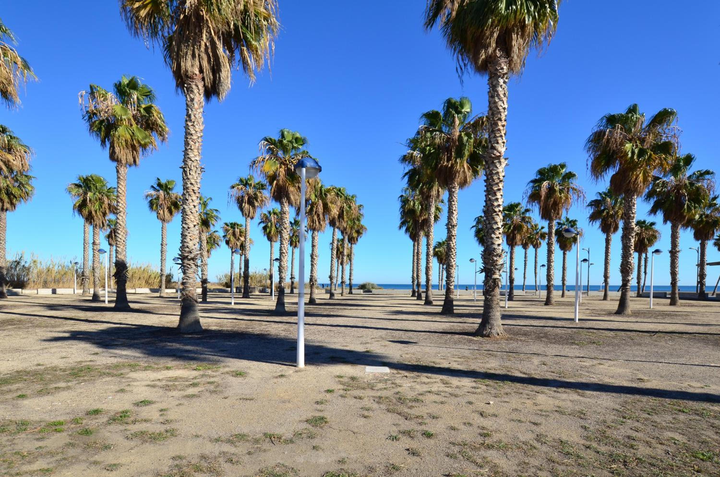 Apartamento frente al mar view 3
