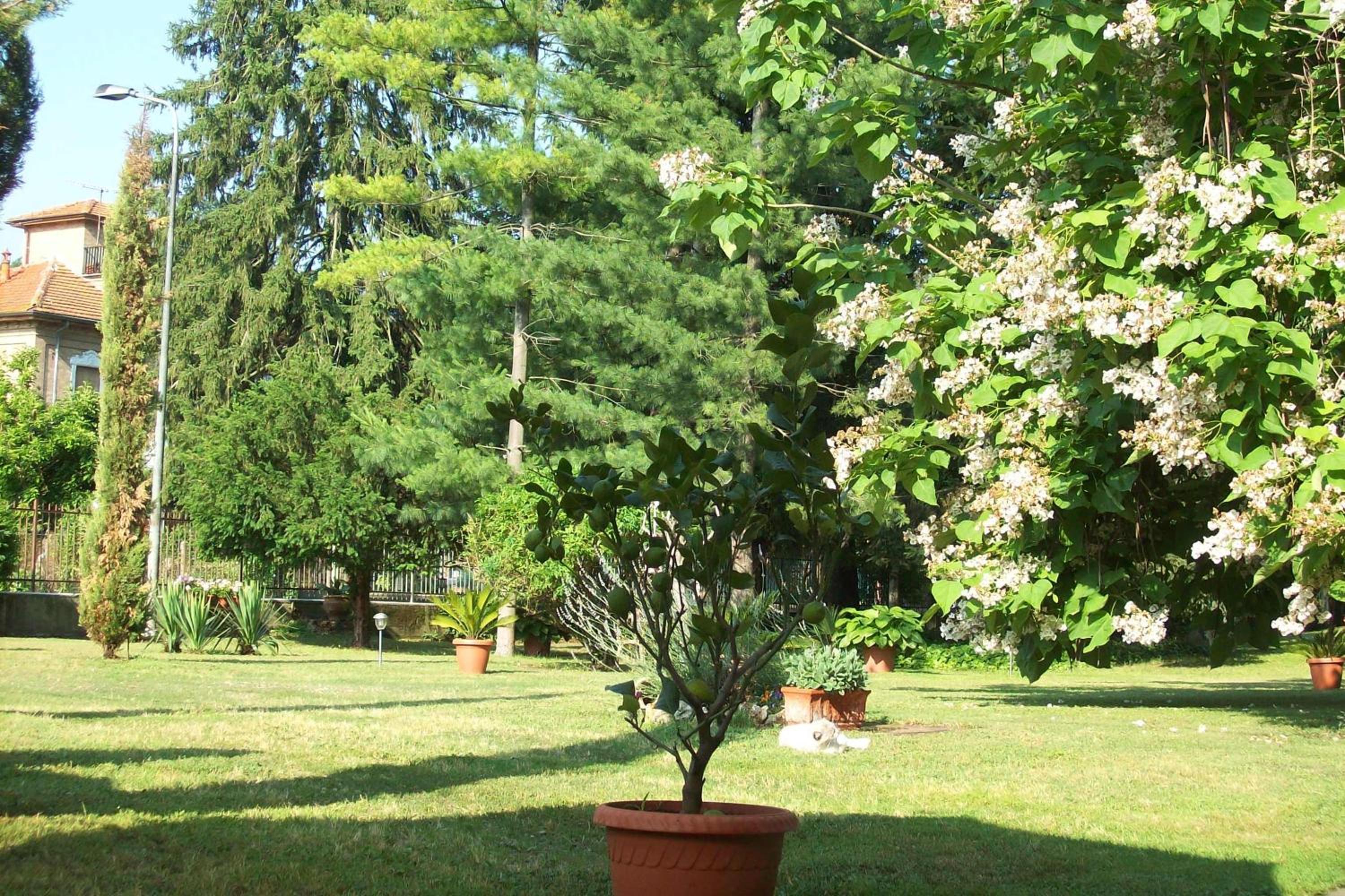 Bed & Tours Dimora di campagna