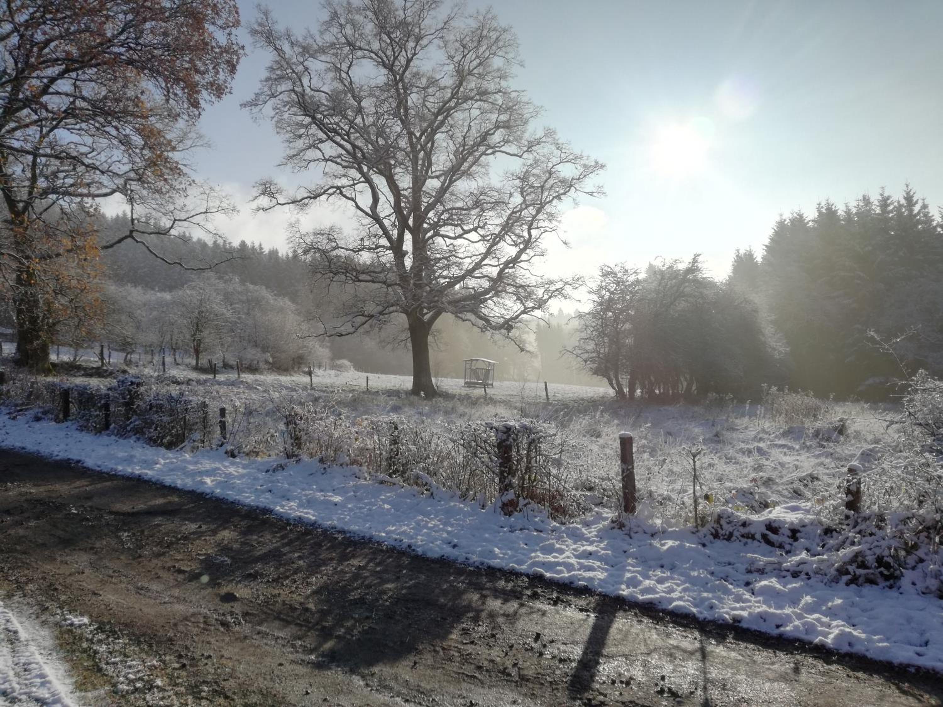 La Bergerie de Ster
