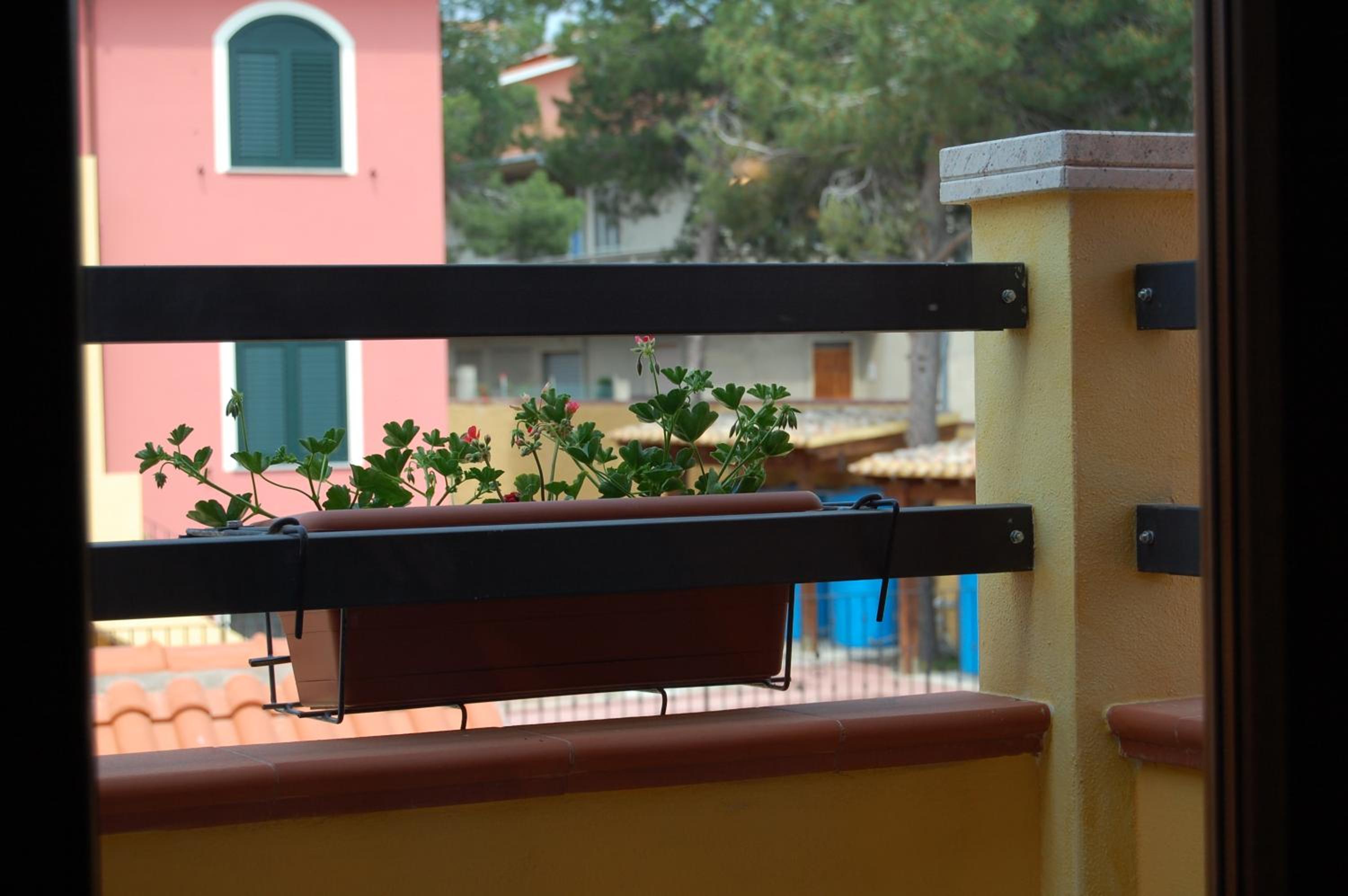 L'Agave, photo 24