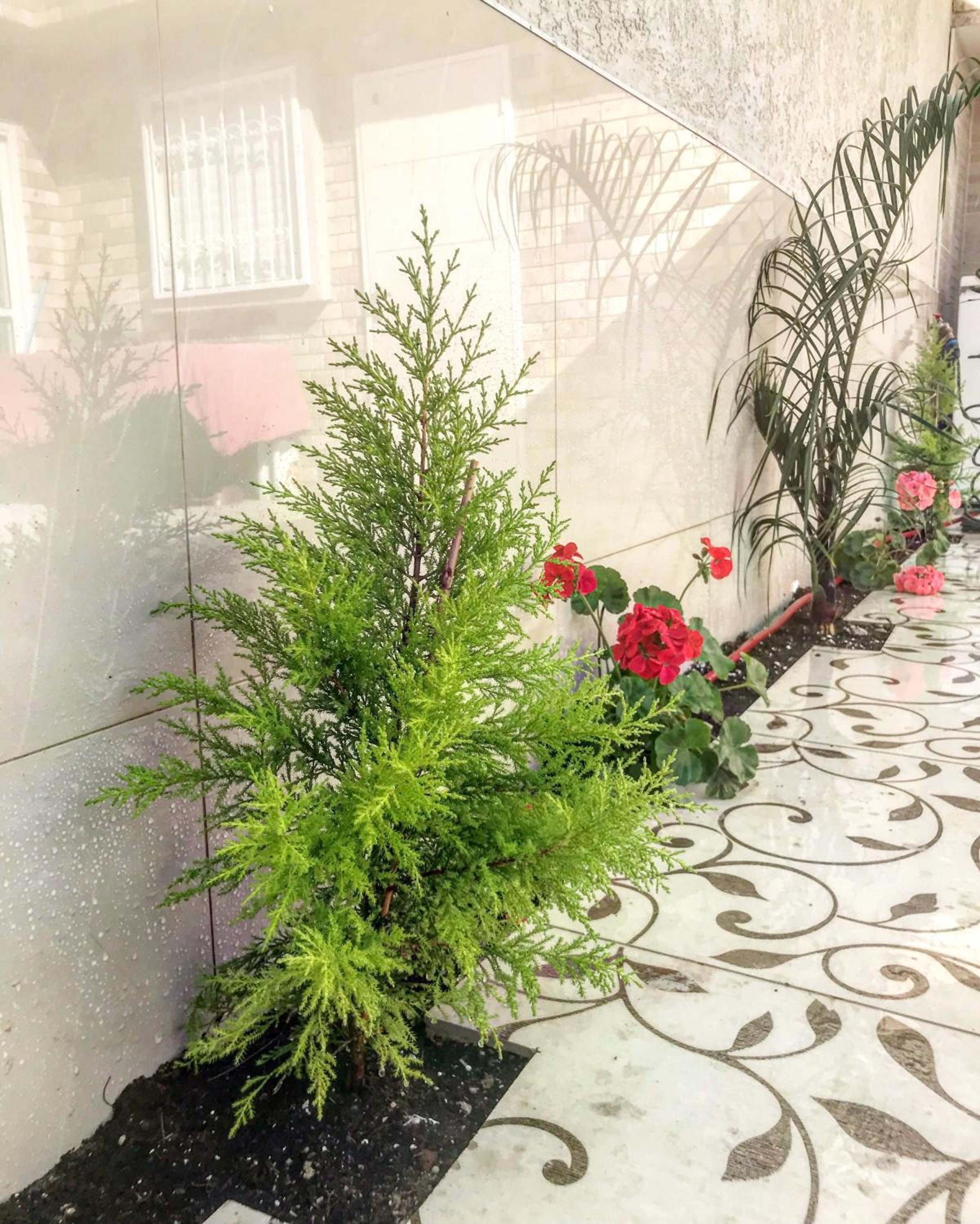 Shahal Apartments
