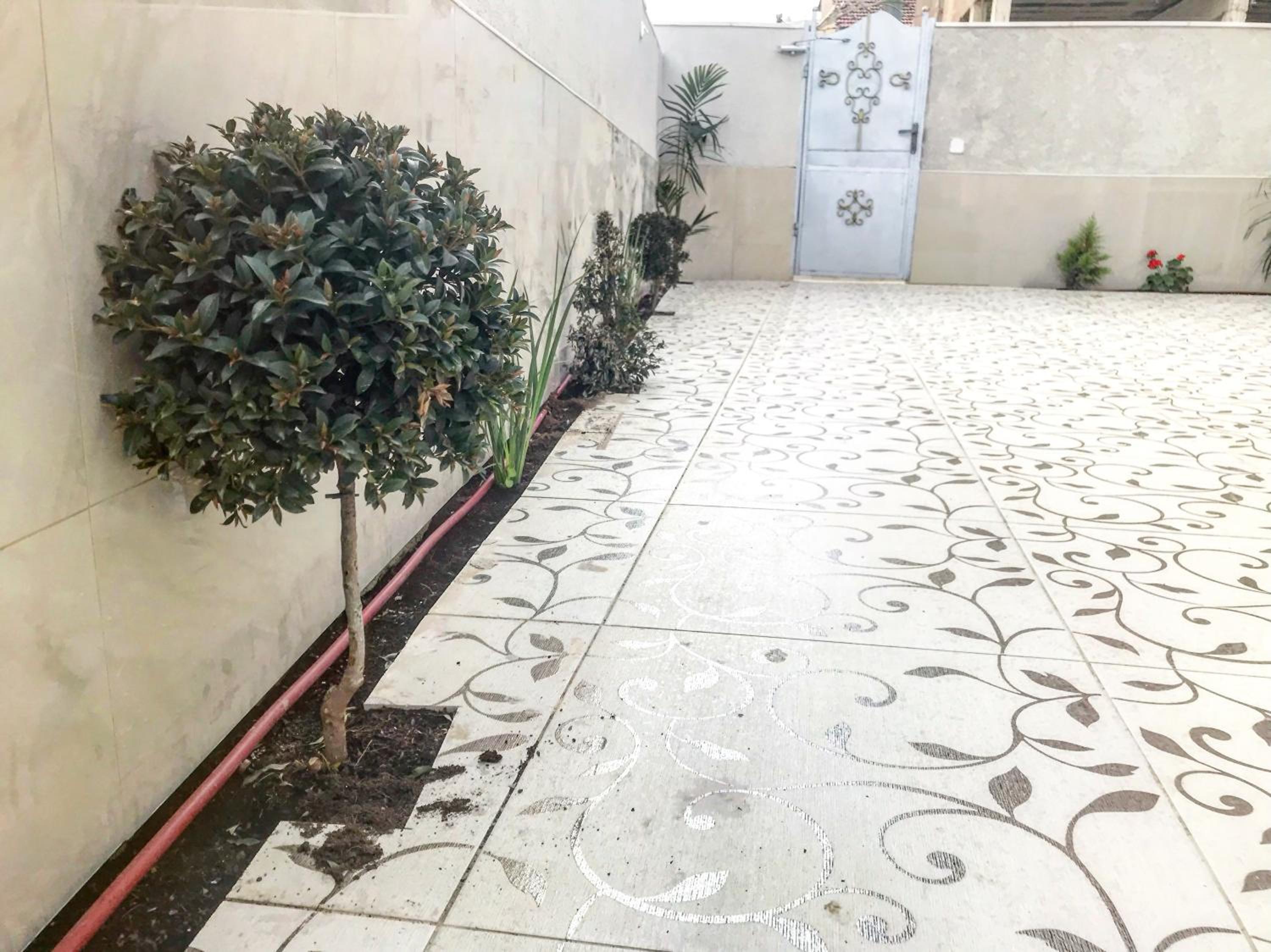 Shahal Apartments