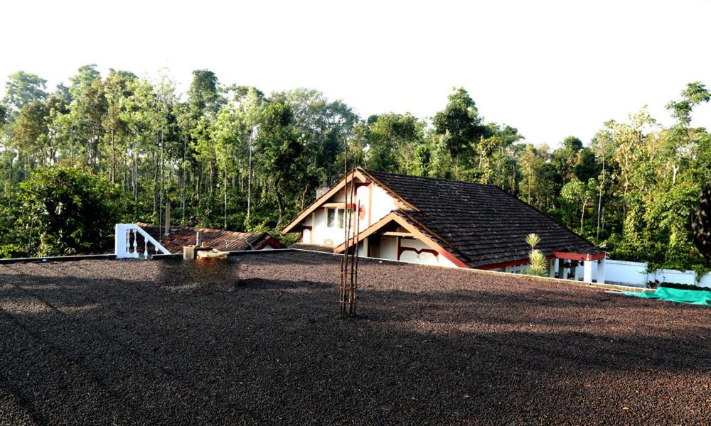 Coffee Native - A Family Homestay view 4