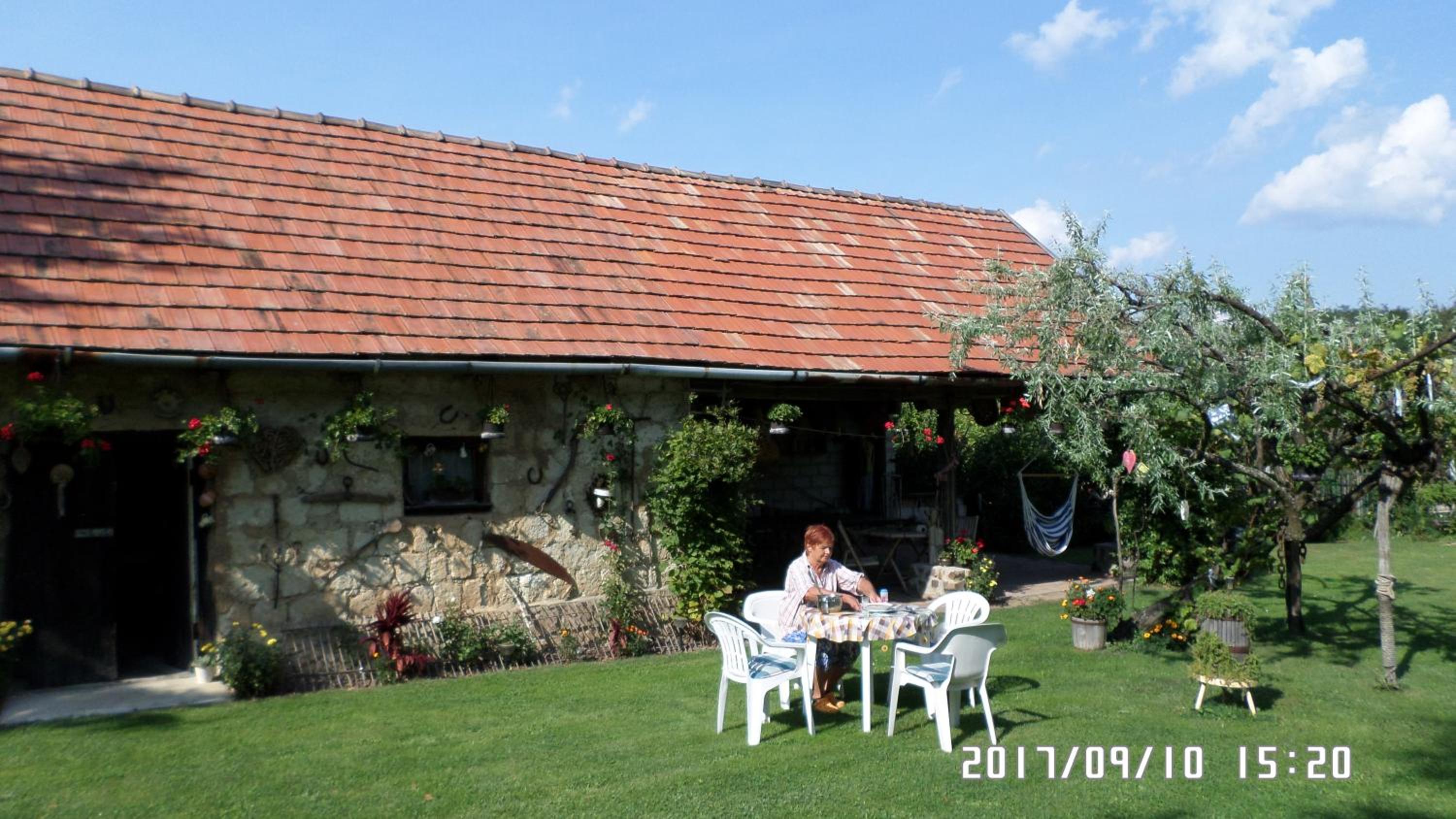 Photo 42