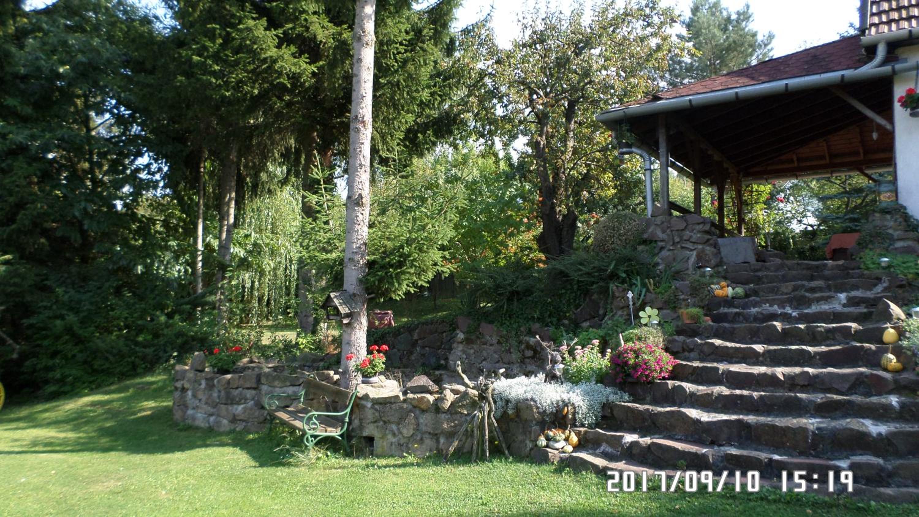 Photo 29