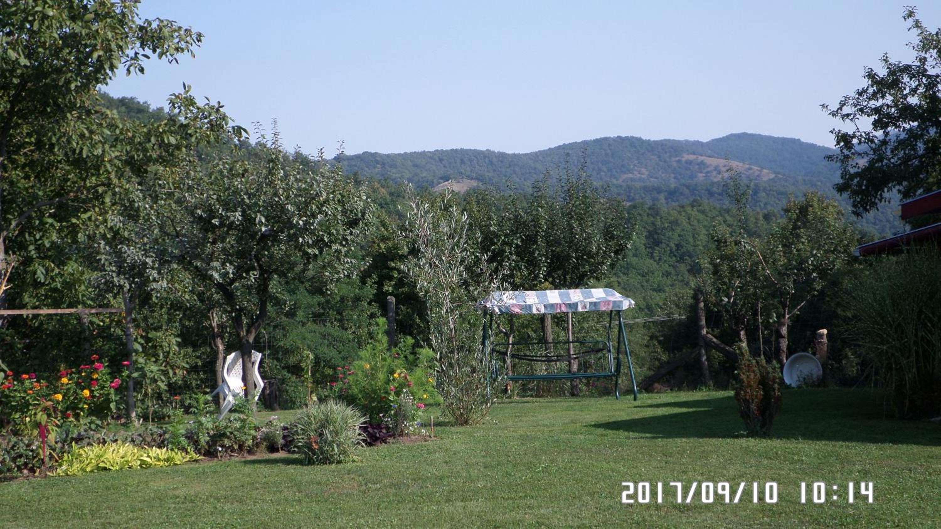 Photo 36