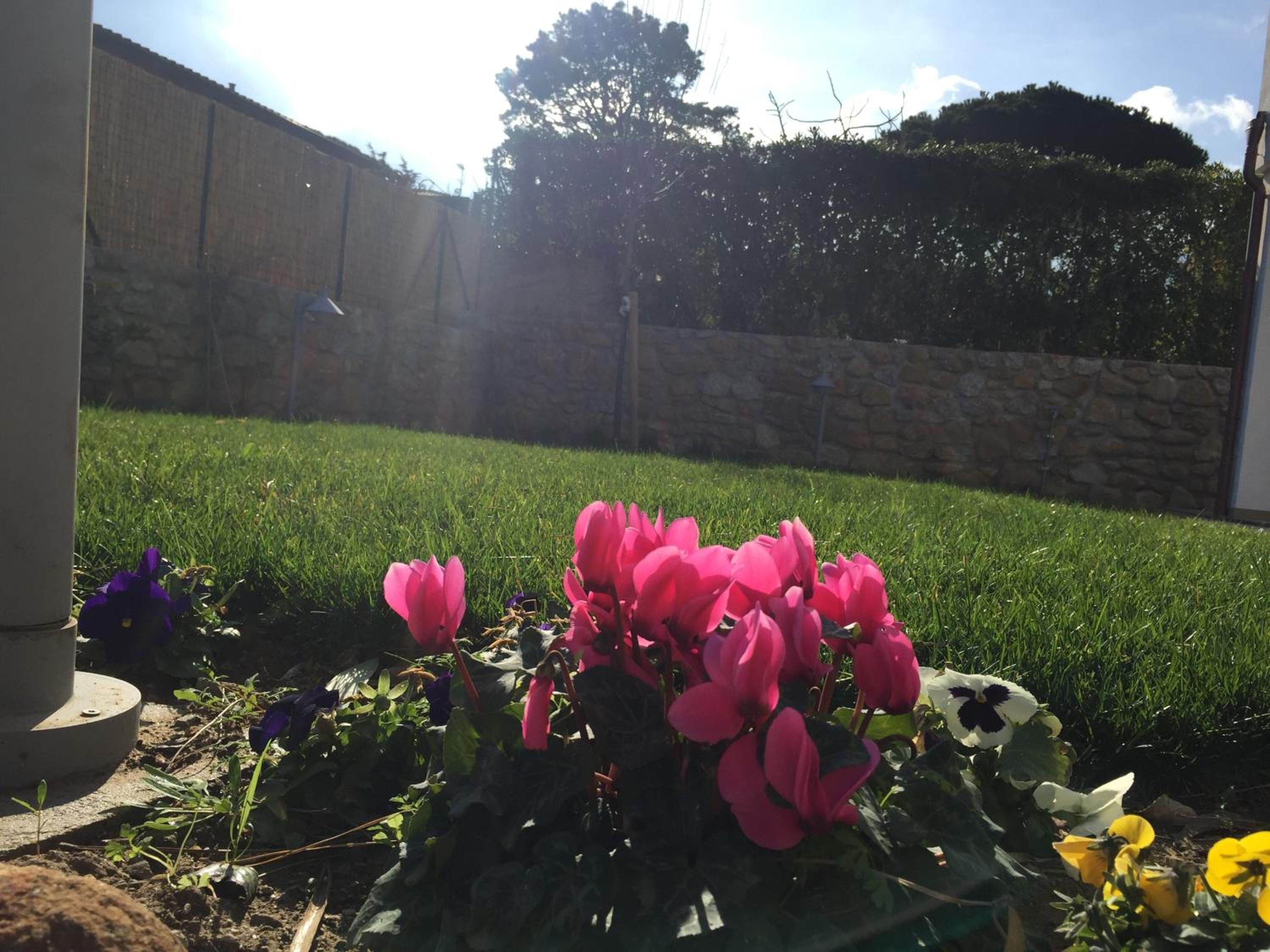 Photo 49