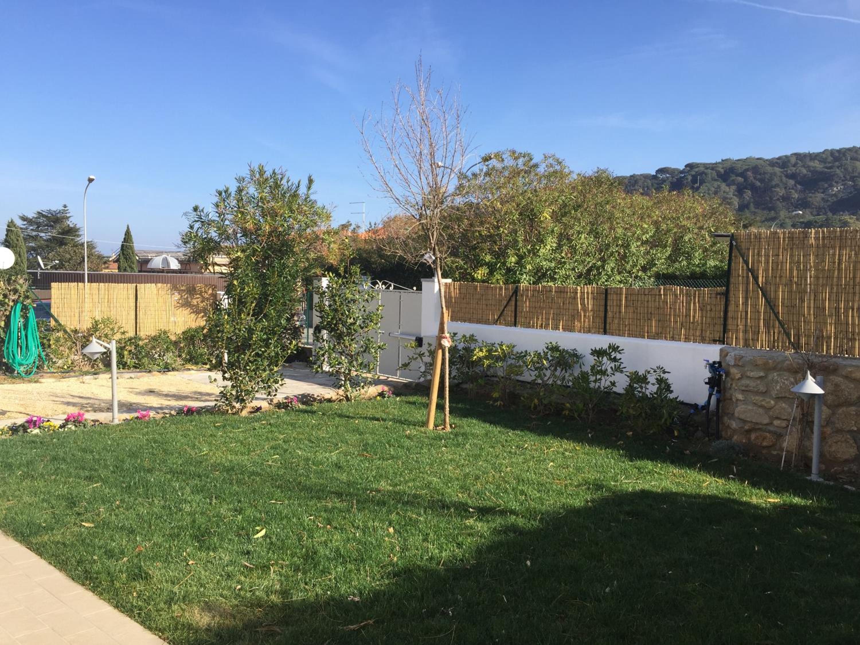Photo 46