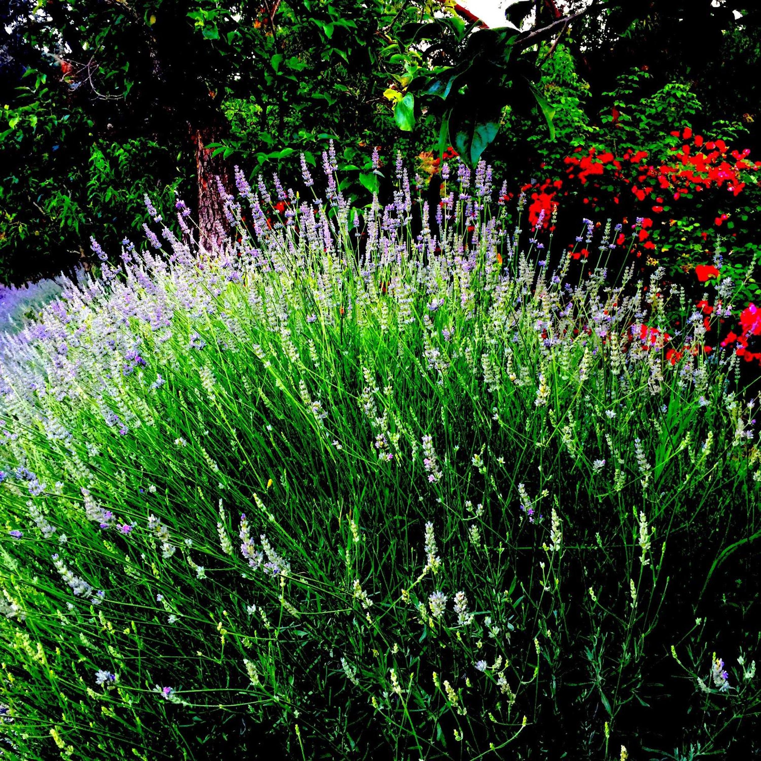 Agriturismo Ada Musso ss