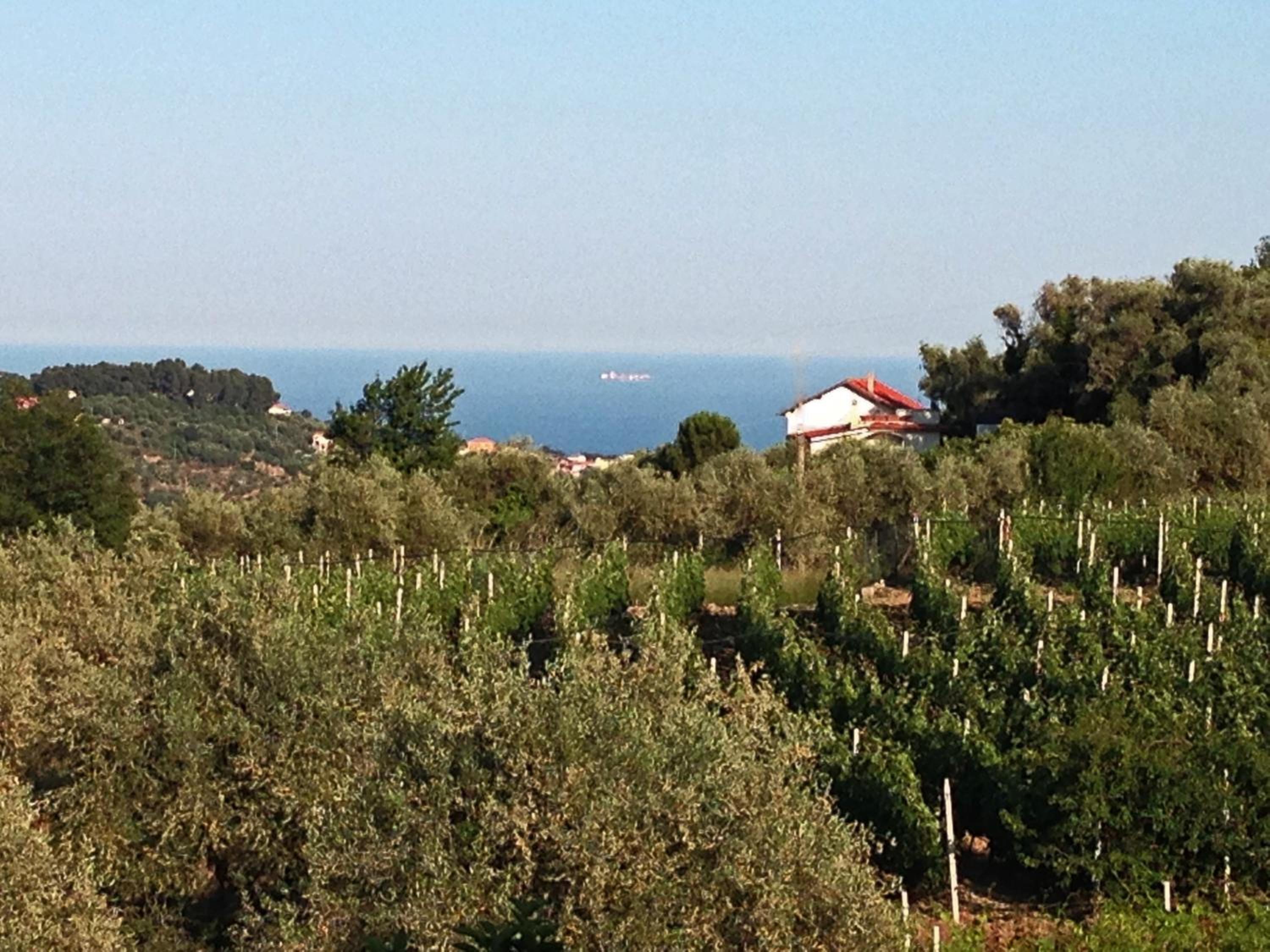 Agriturismo Ada Musso ss