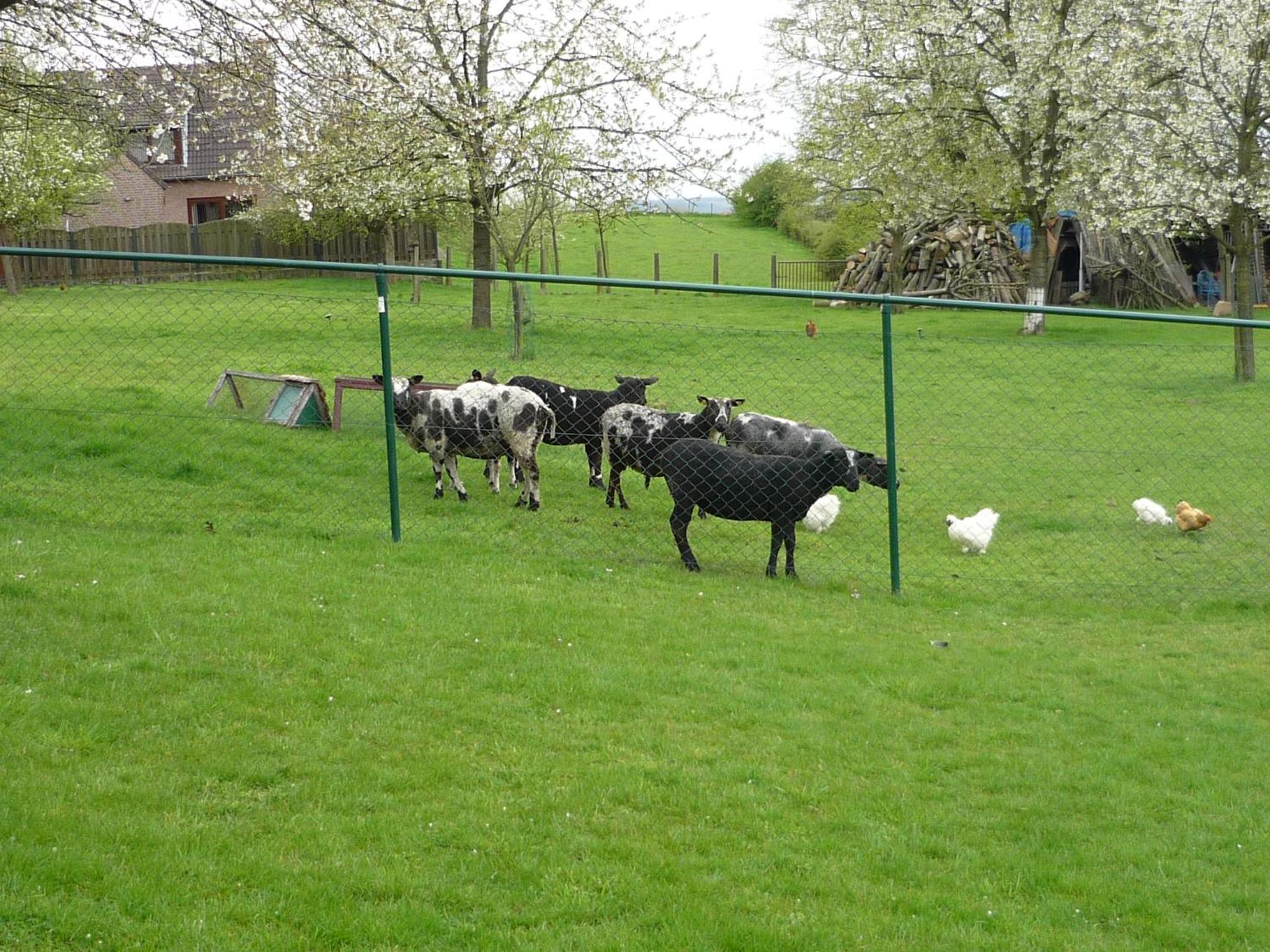 Hoeve Mingels view 5