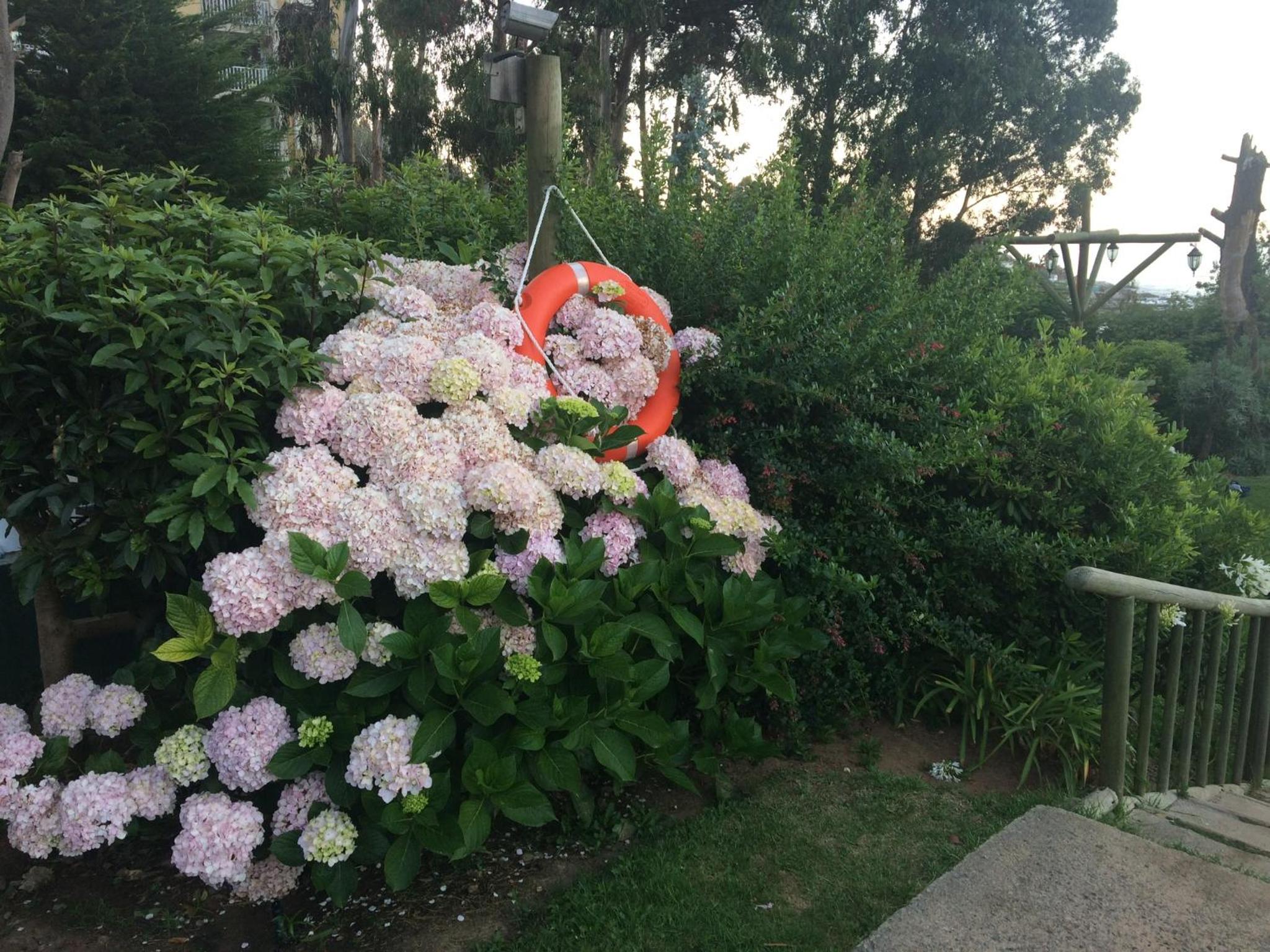 Photo 48