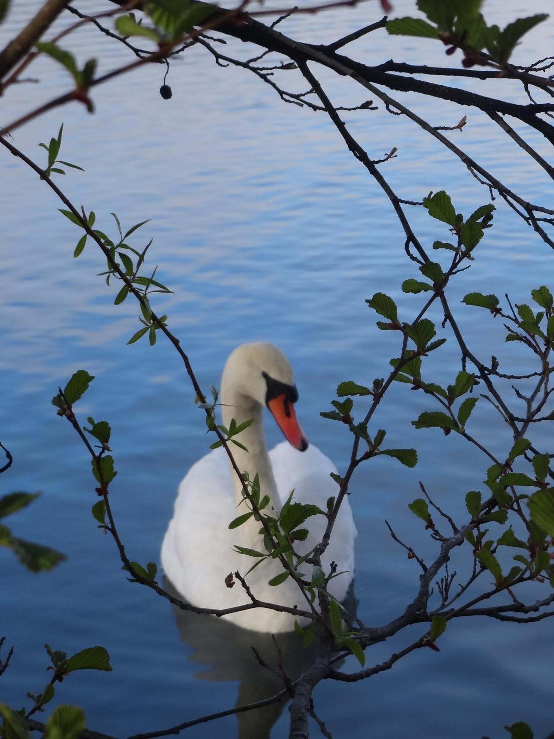 refugium am see