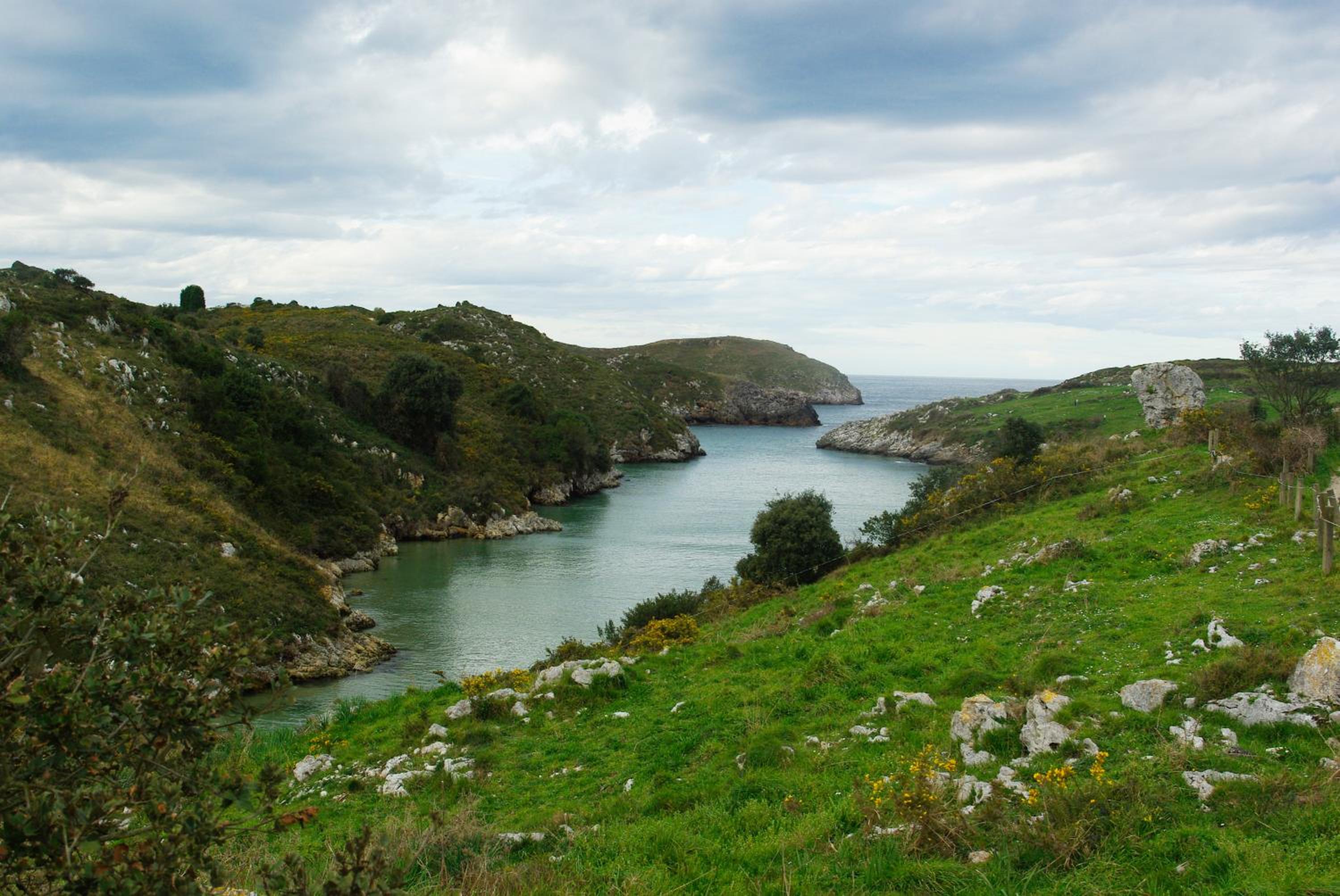 Photo 14