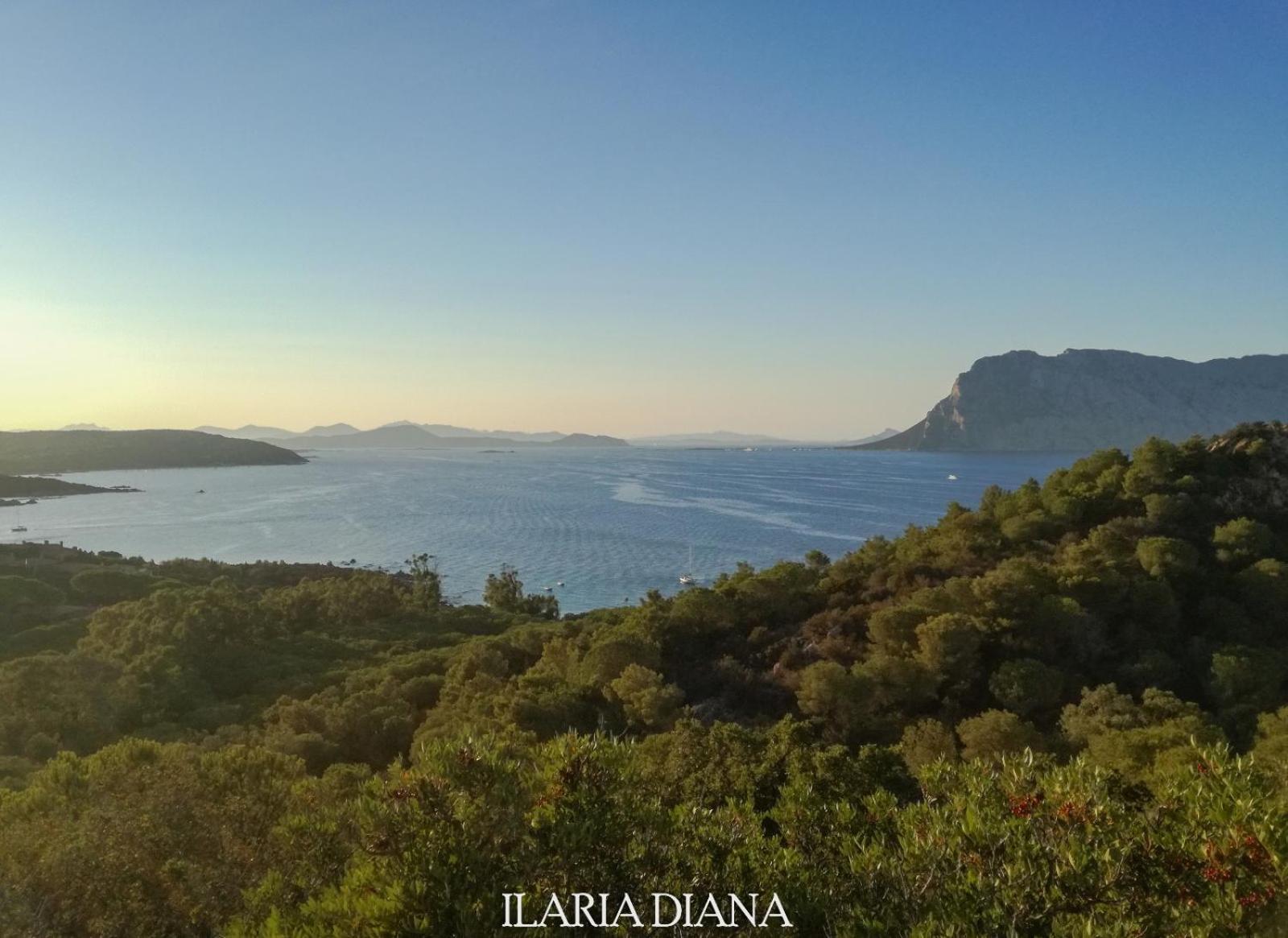 Residence Edilmare San Teodoro