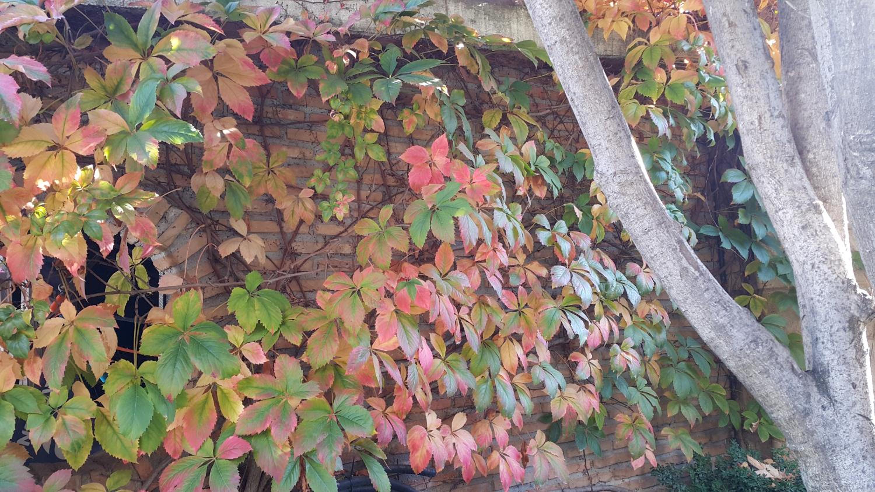 Photo 49