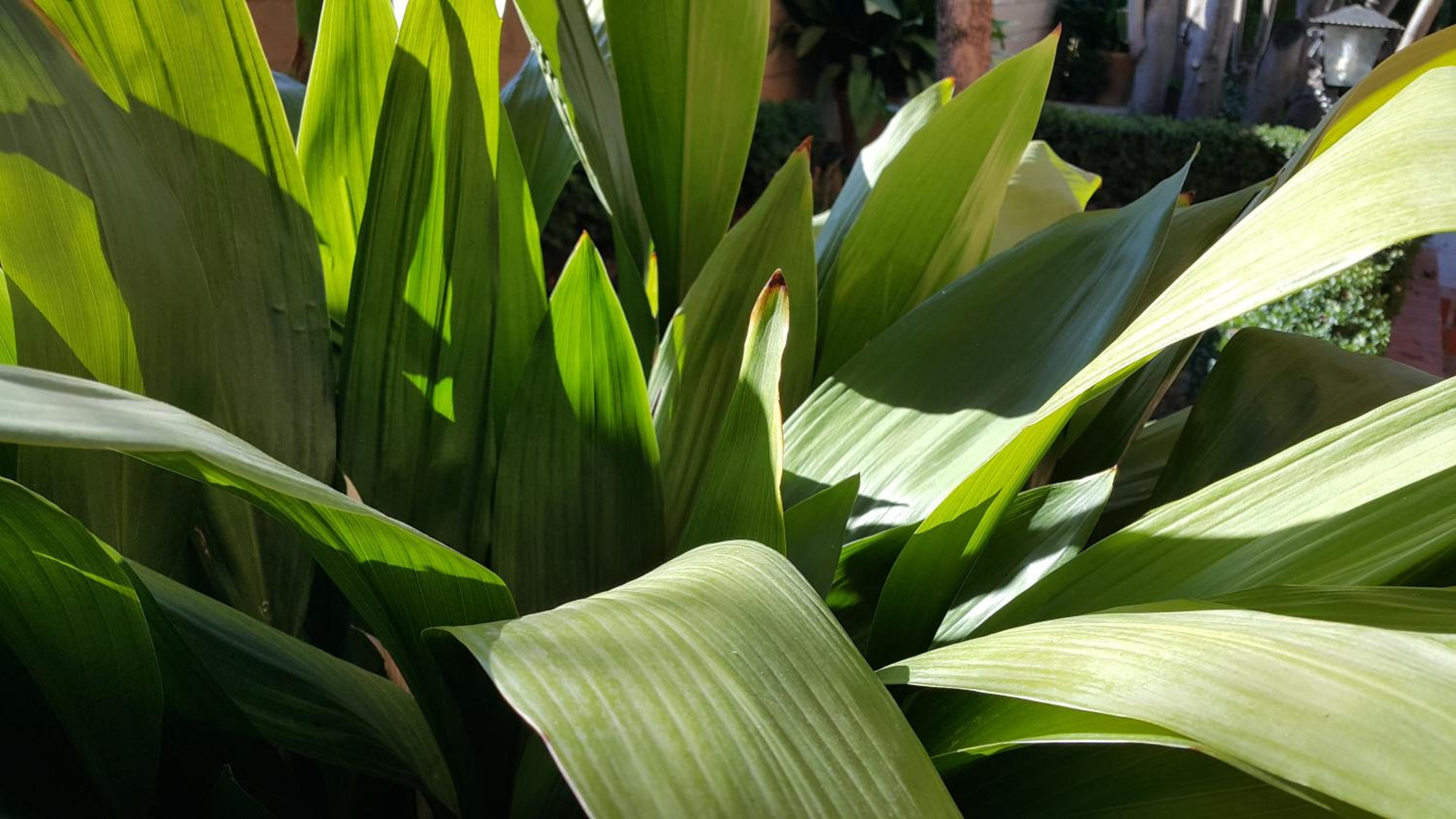 Photo 43