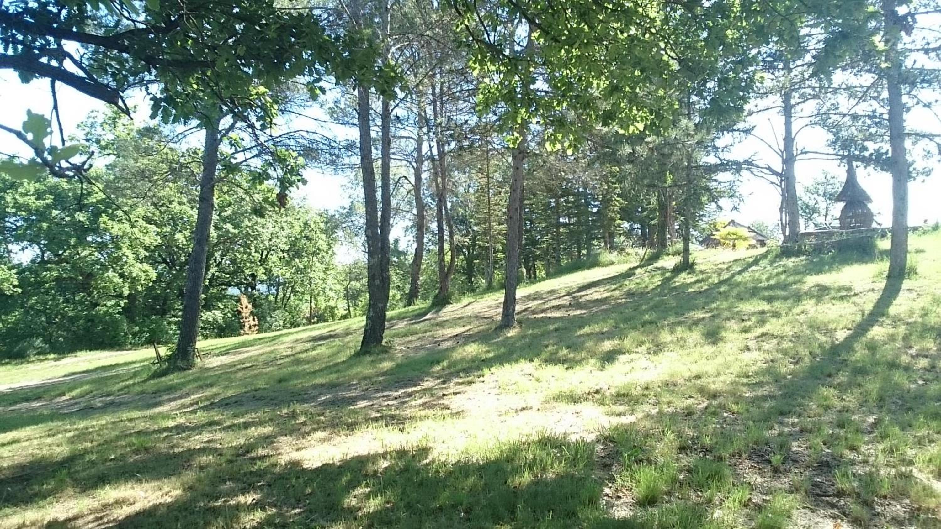 Photo 39
