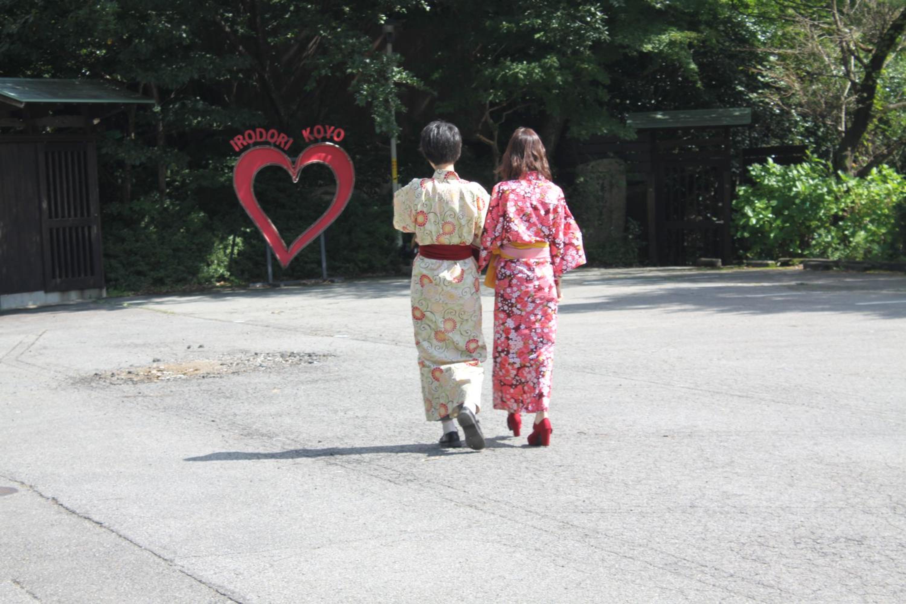 Irodori Koyo