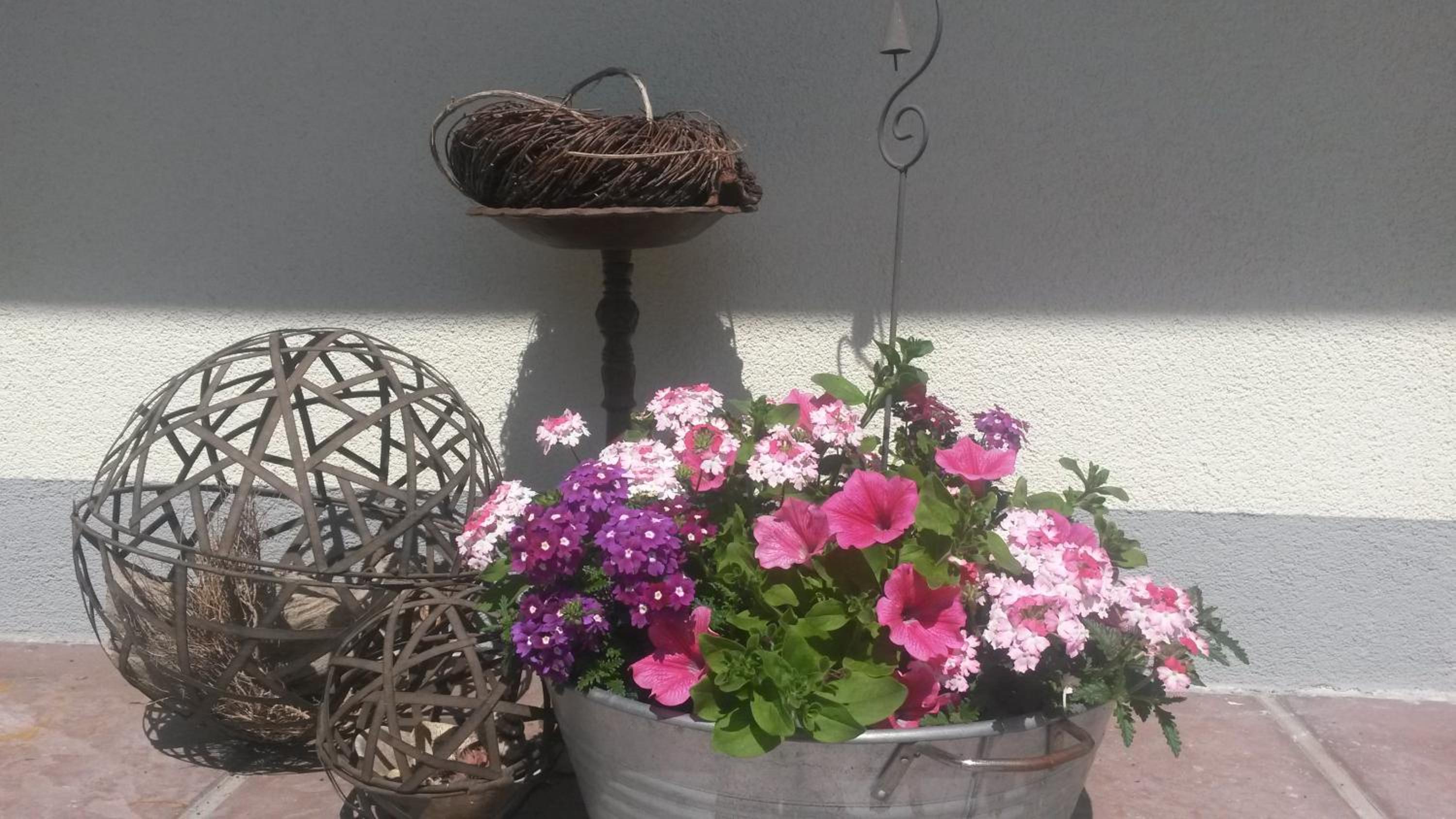 Pension Kreuzinger, 5310 Tiefgraben