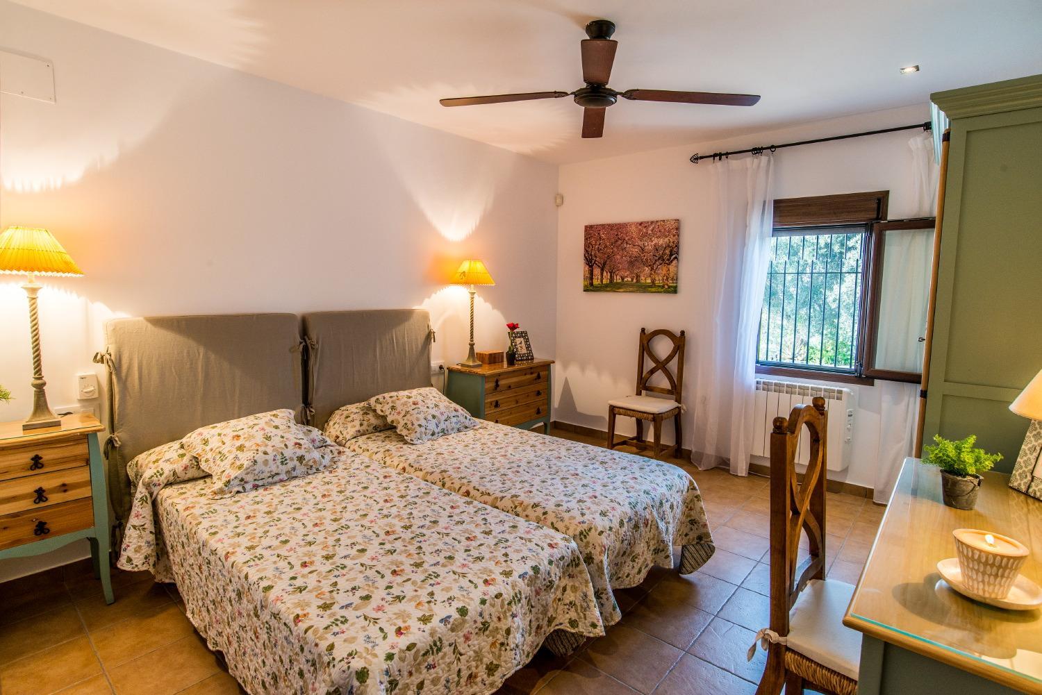 Vivienda Rural Olivar de San Telmo view 3