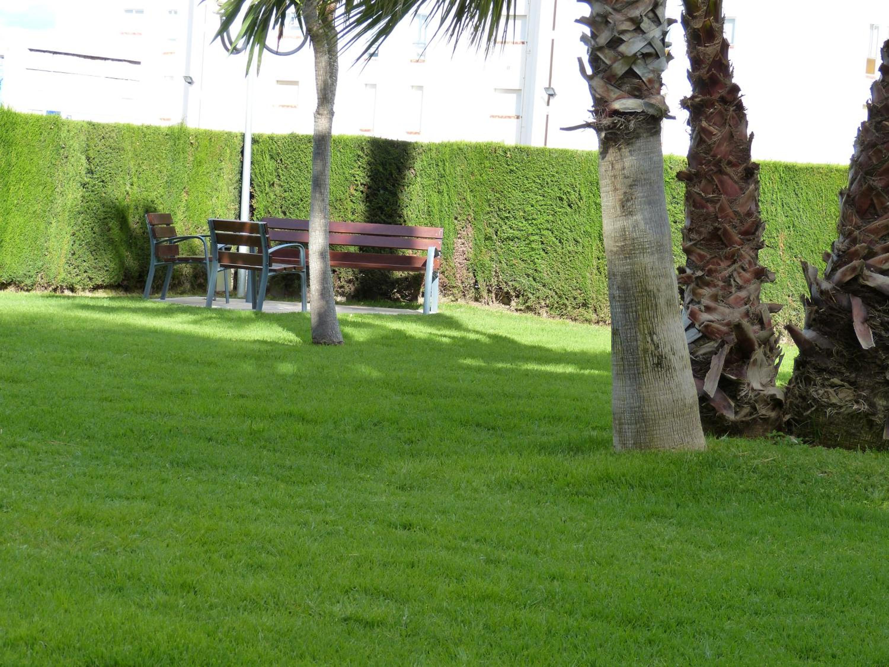 Apartamento Mediterráneo Bellavista view 4