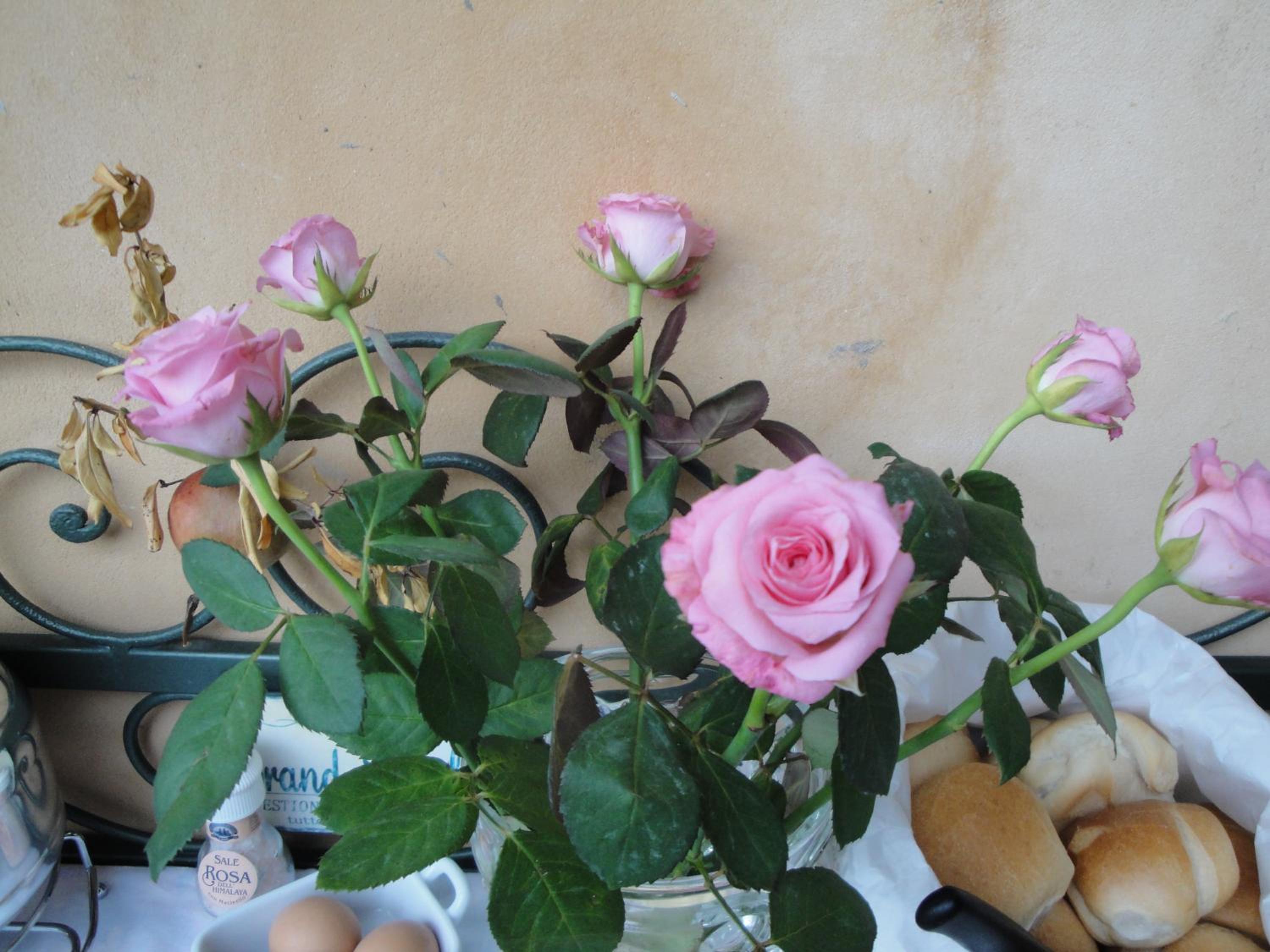 Photo 46