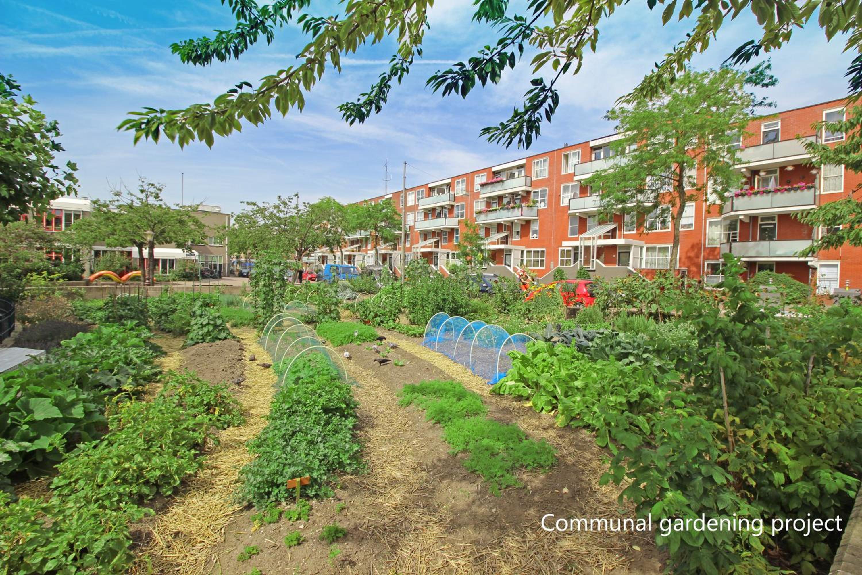 New monumental garden view Studio