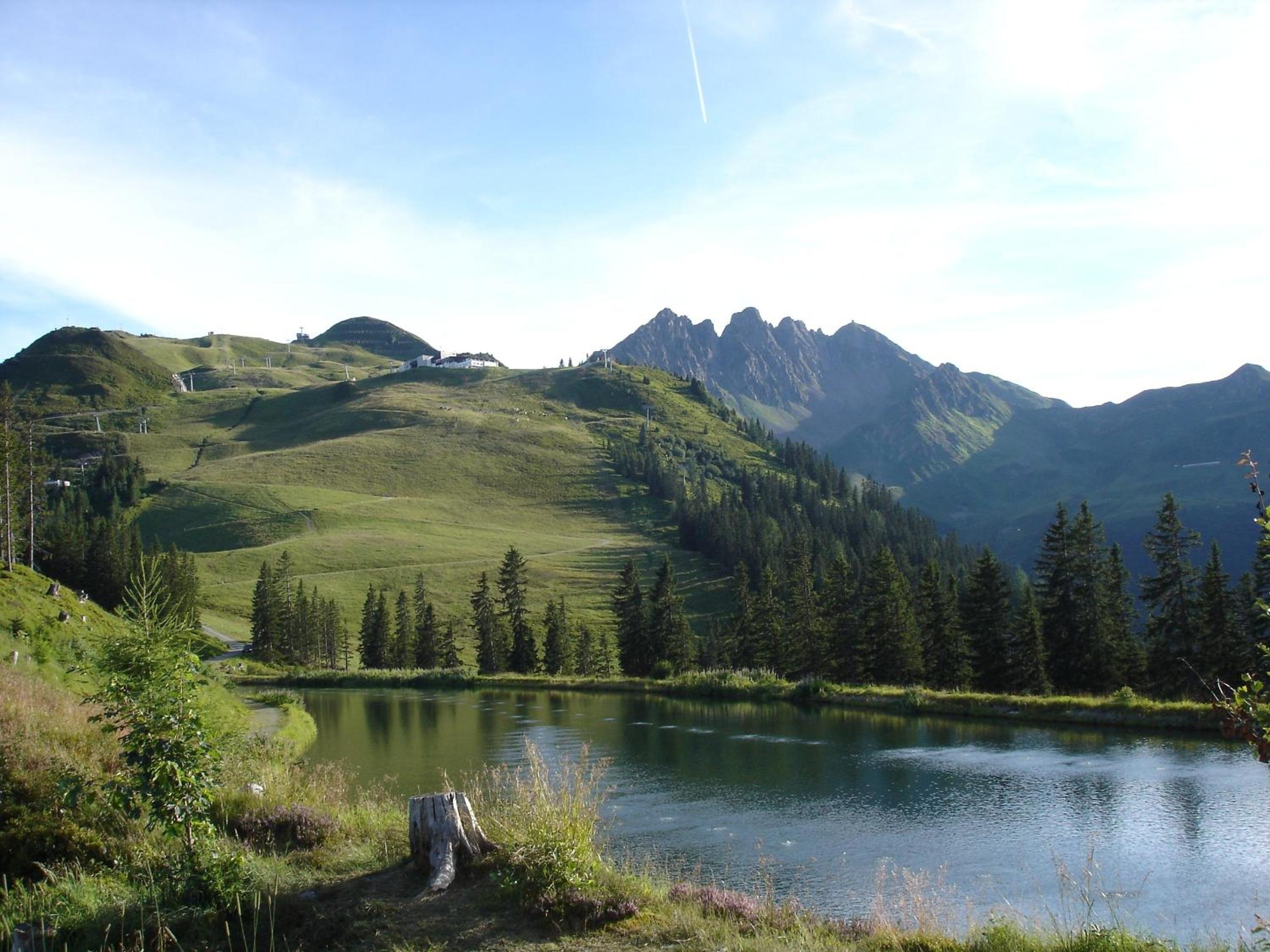 Photo 27