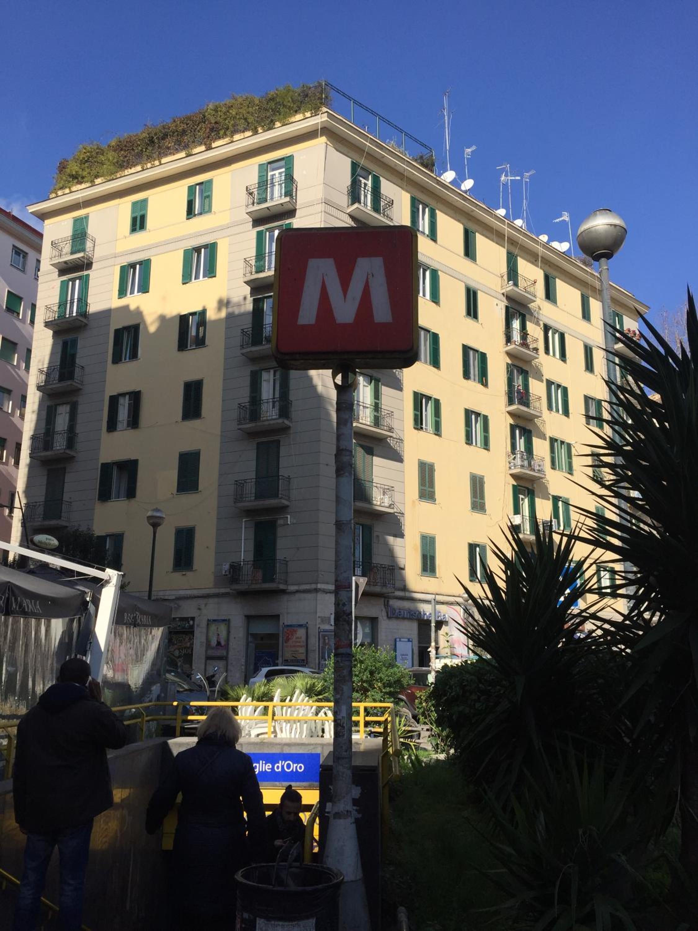 Cicicocó