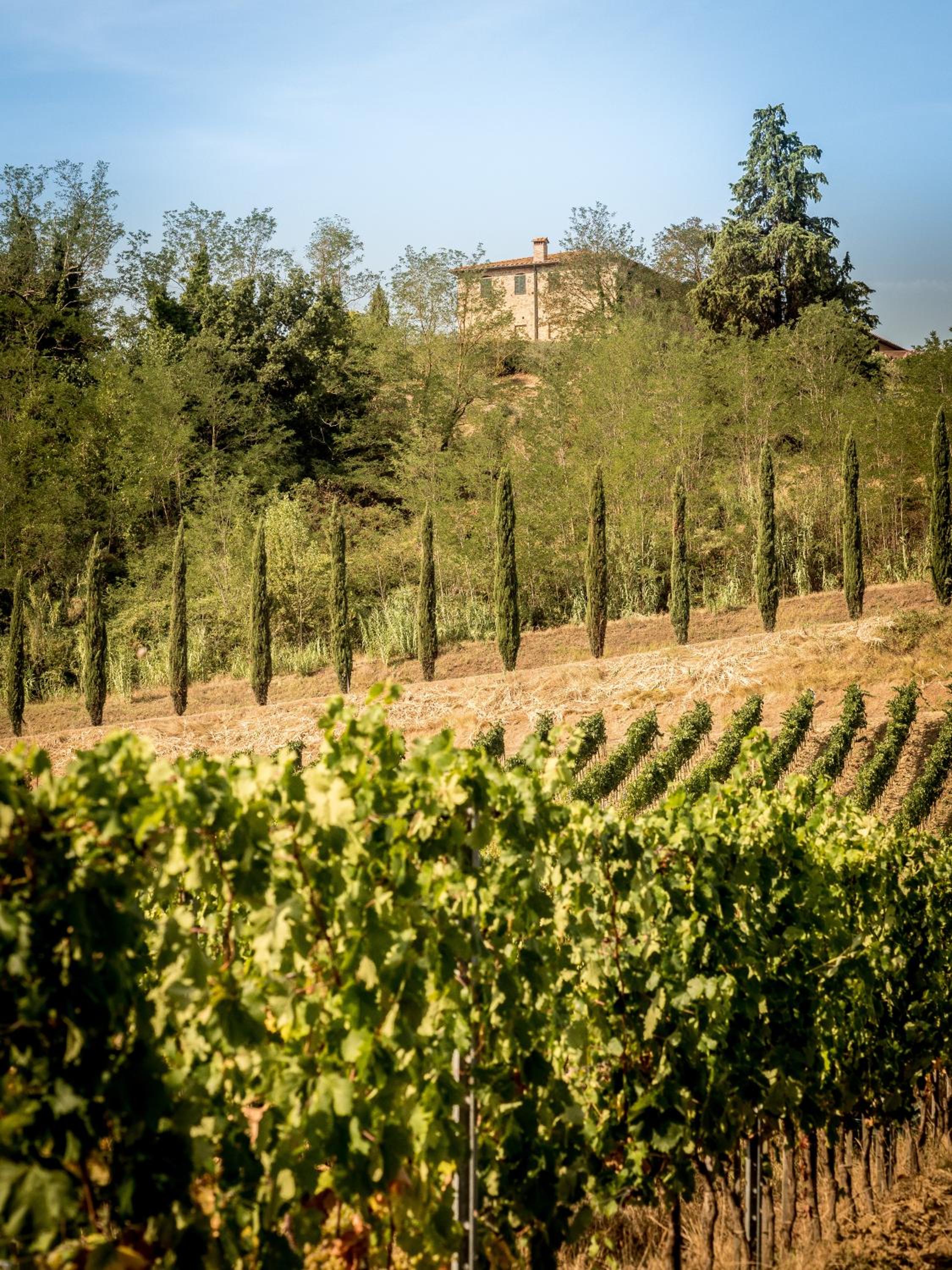 Fattoria Fibbiano