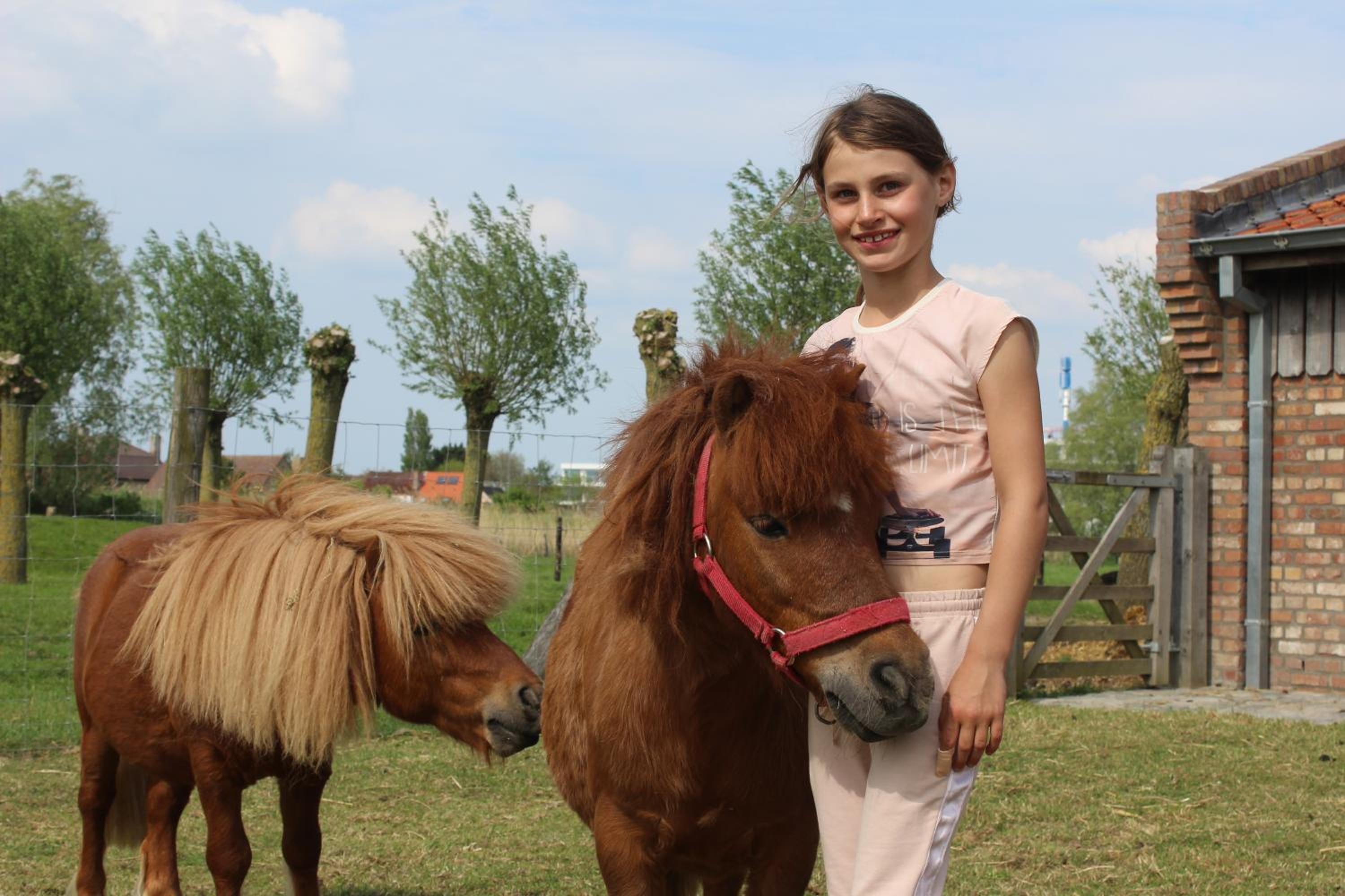 Domein Rietvelde