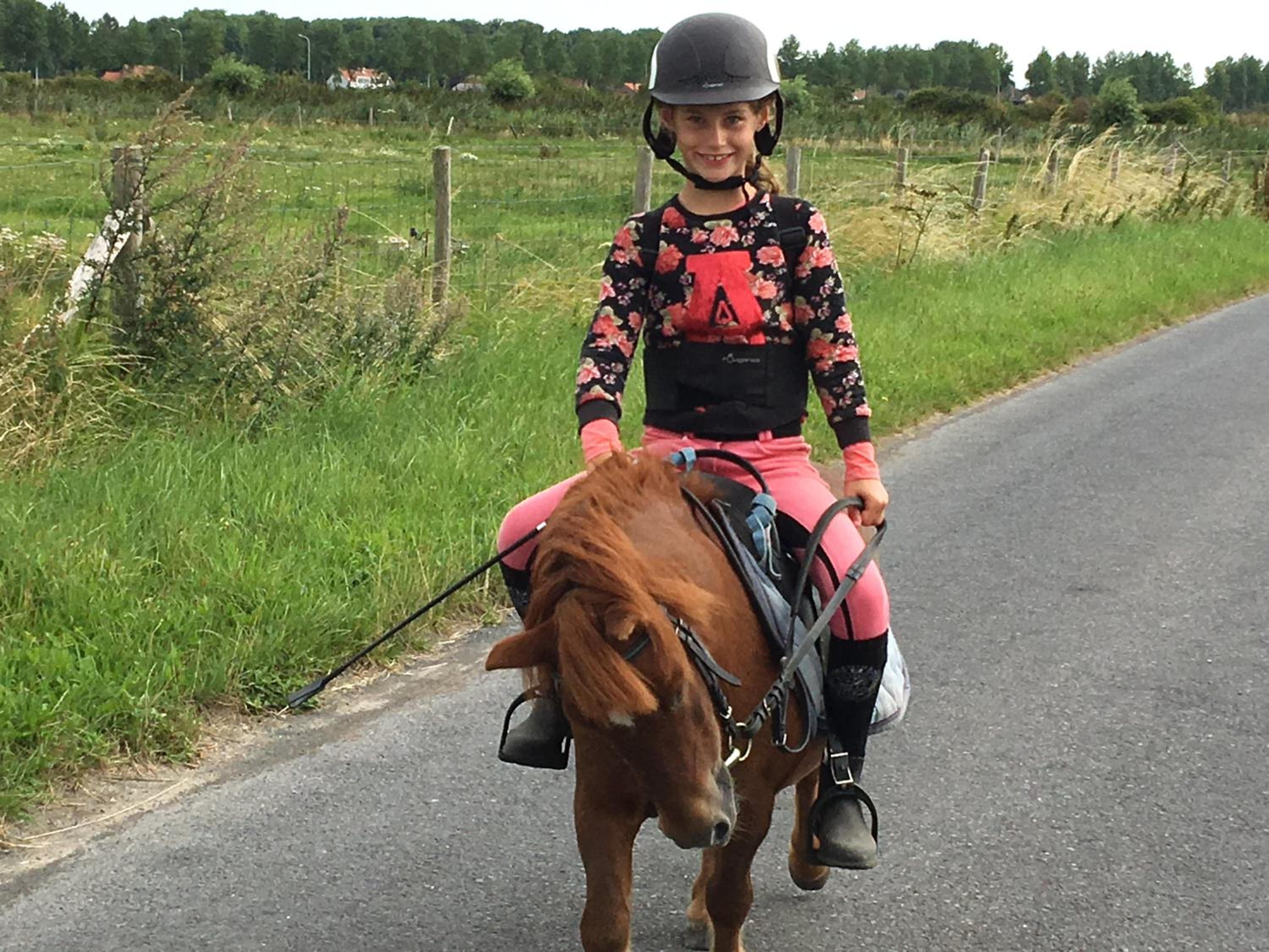 Domein Rietvelde