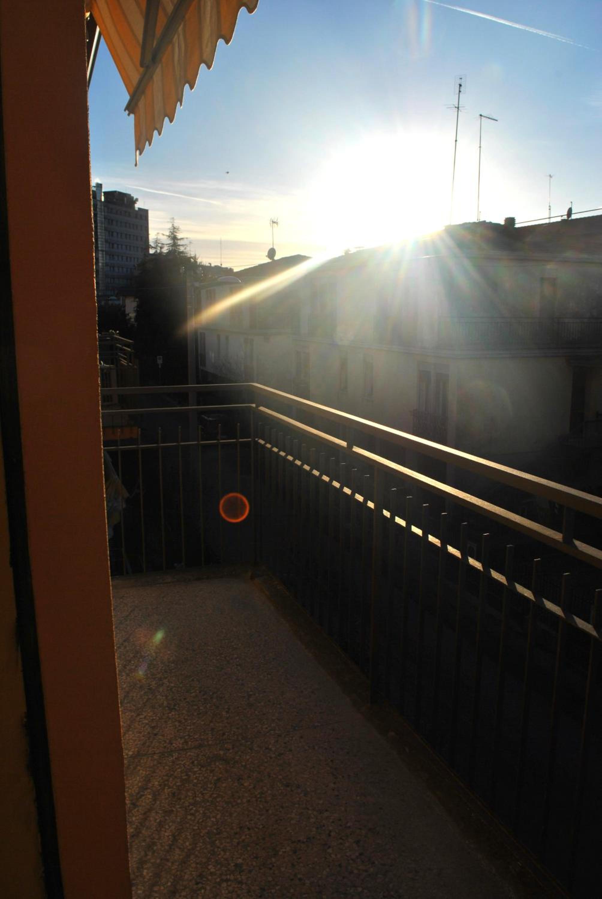 Photo 33