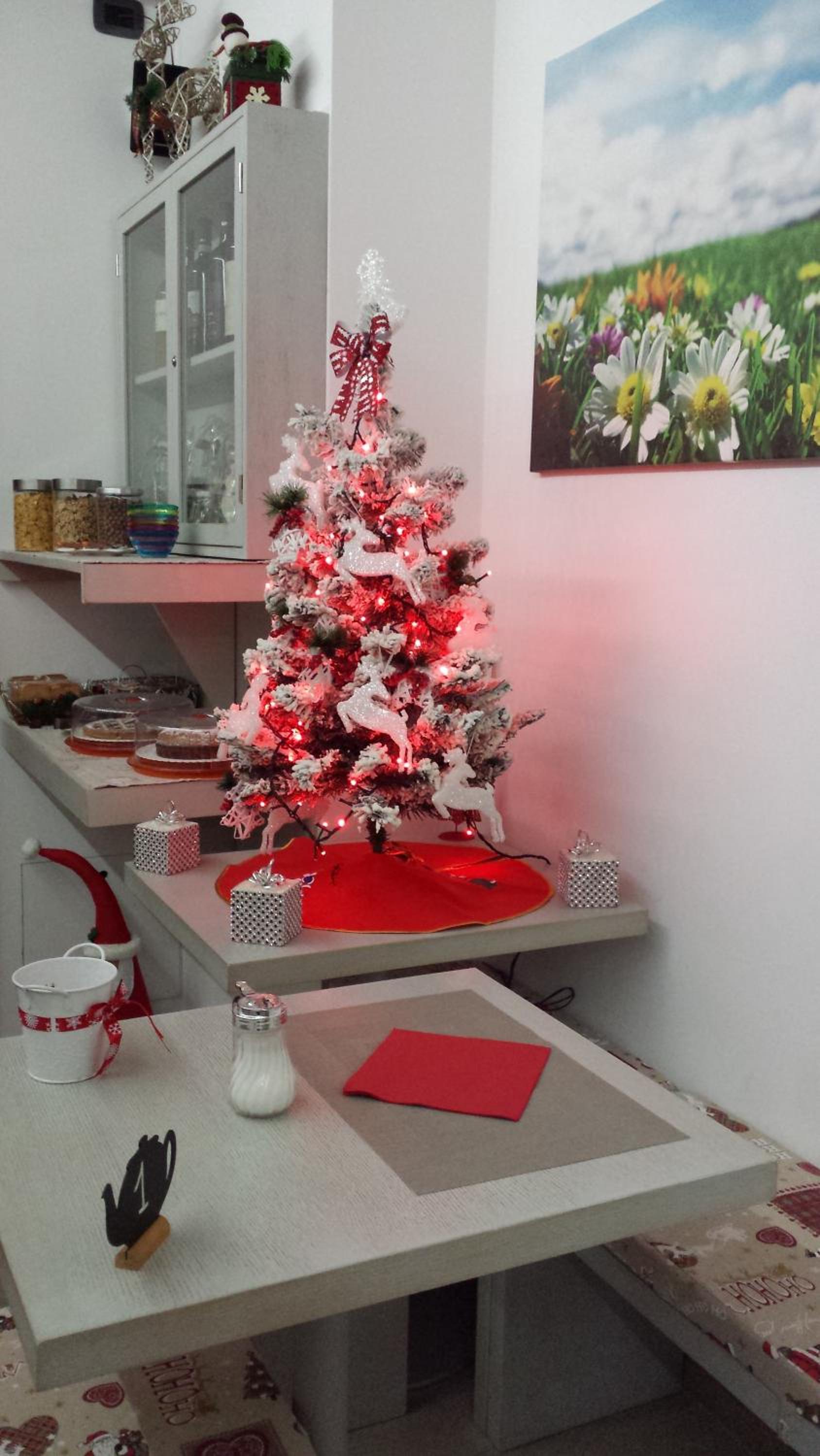 B&B Nuova Ostiglia view 2