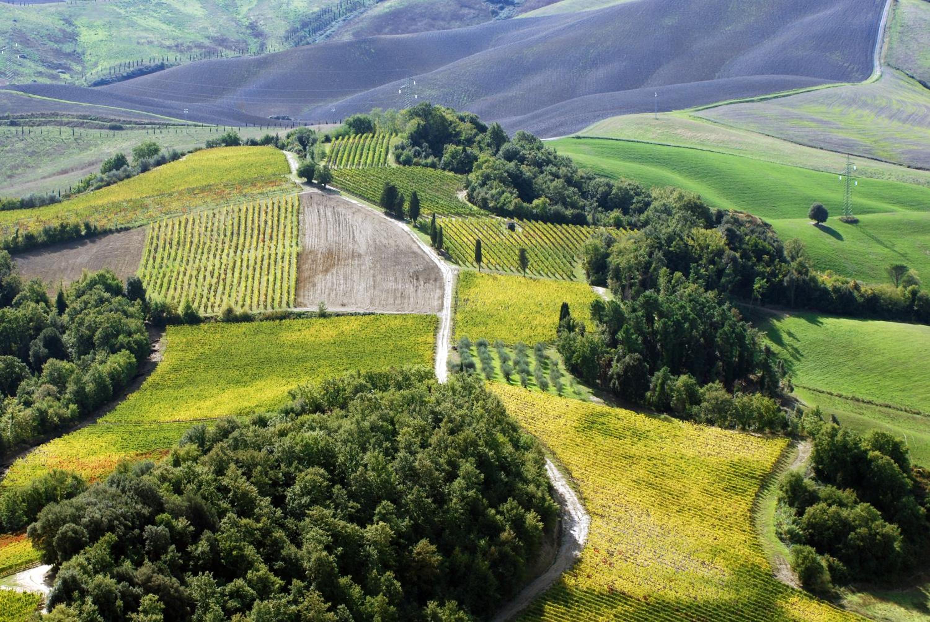 Fattoria Fibbiano