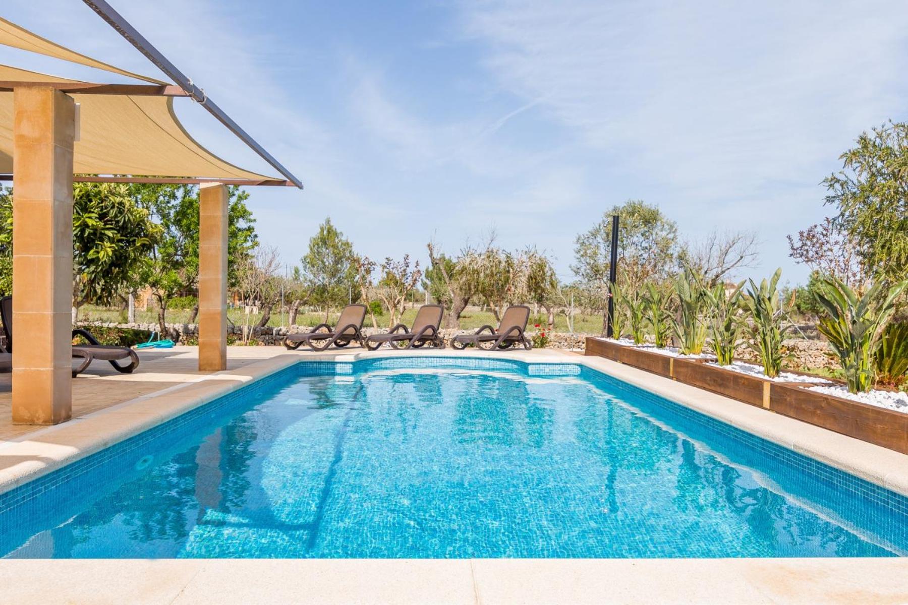 Alfabia view 5