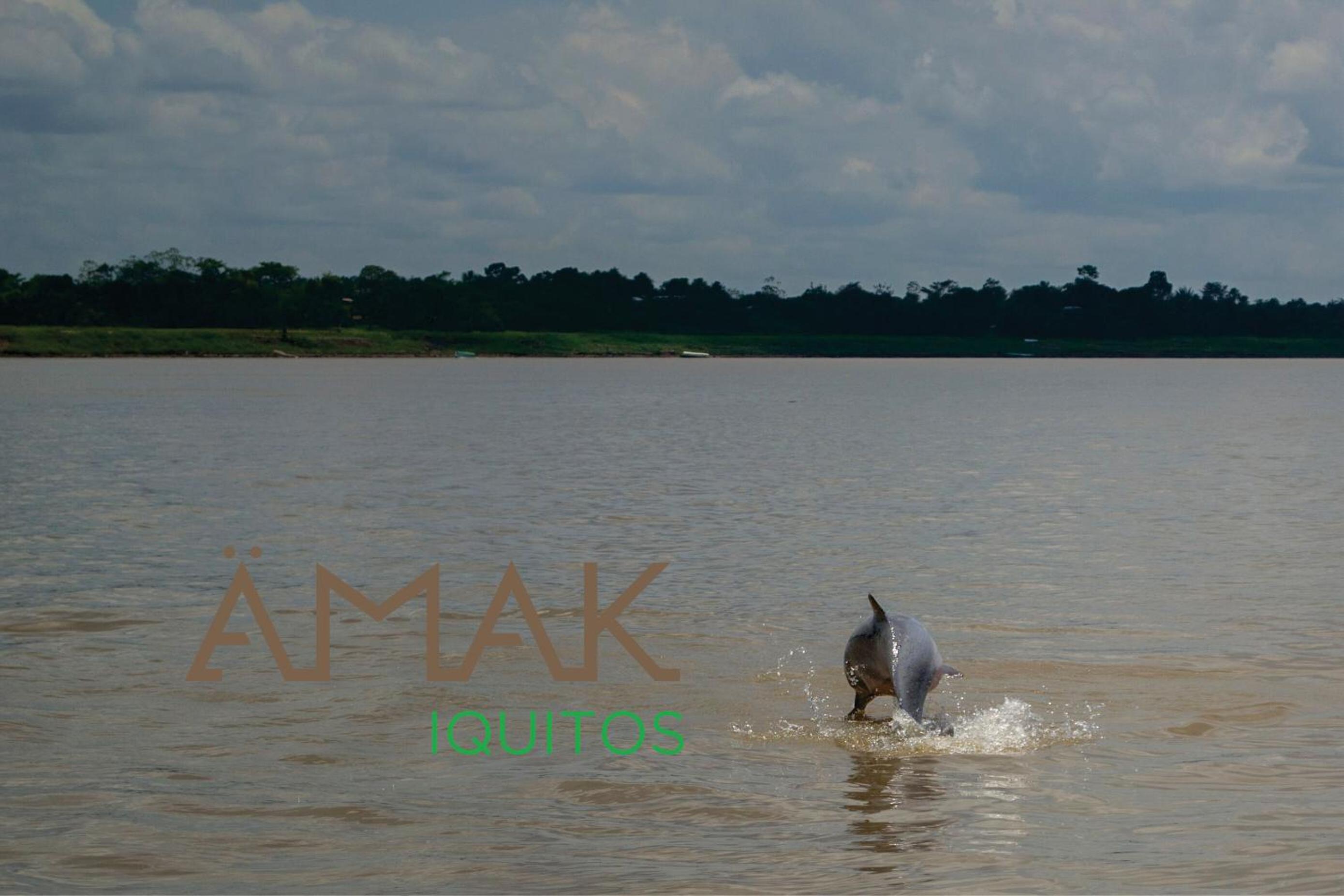 Ämak Iquitos Ecolodge - All Inclusive