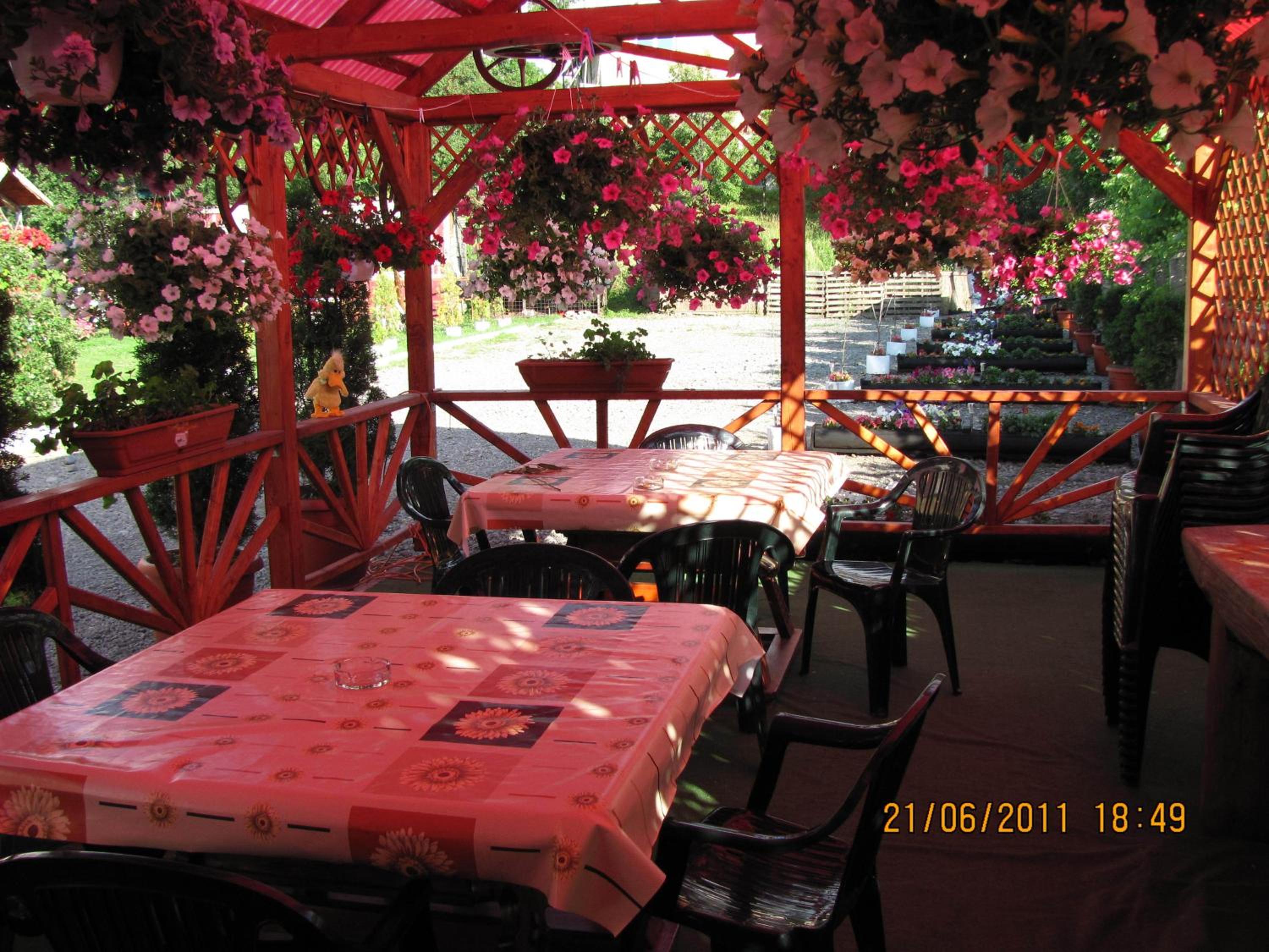 Photo 47