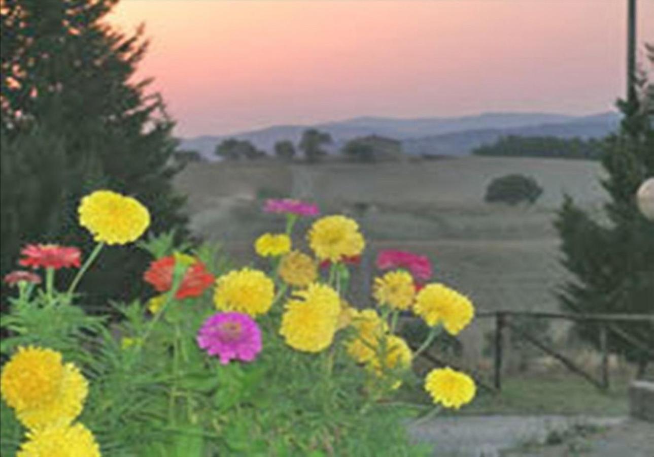 Wine Resort Colsereno